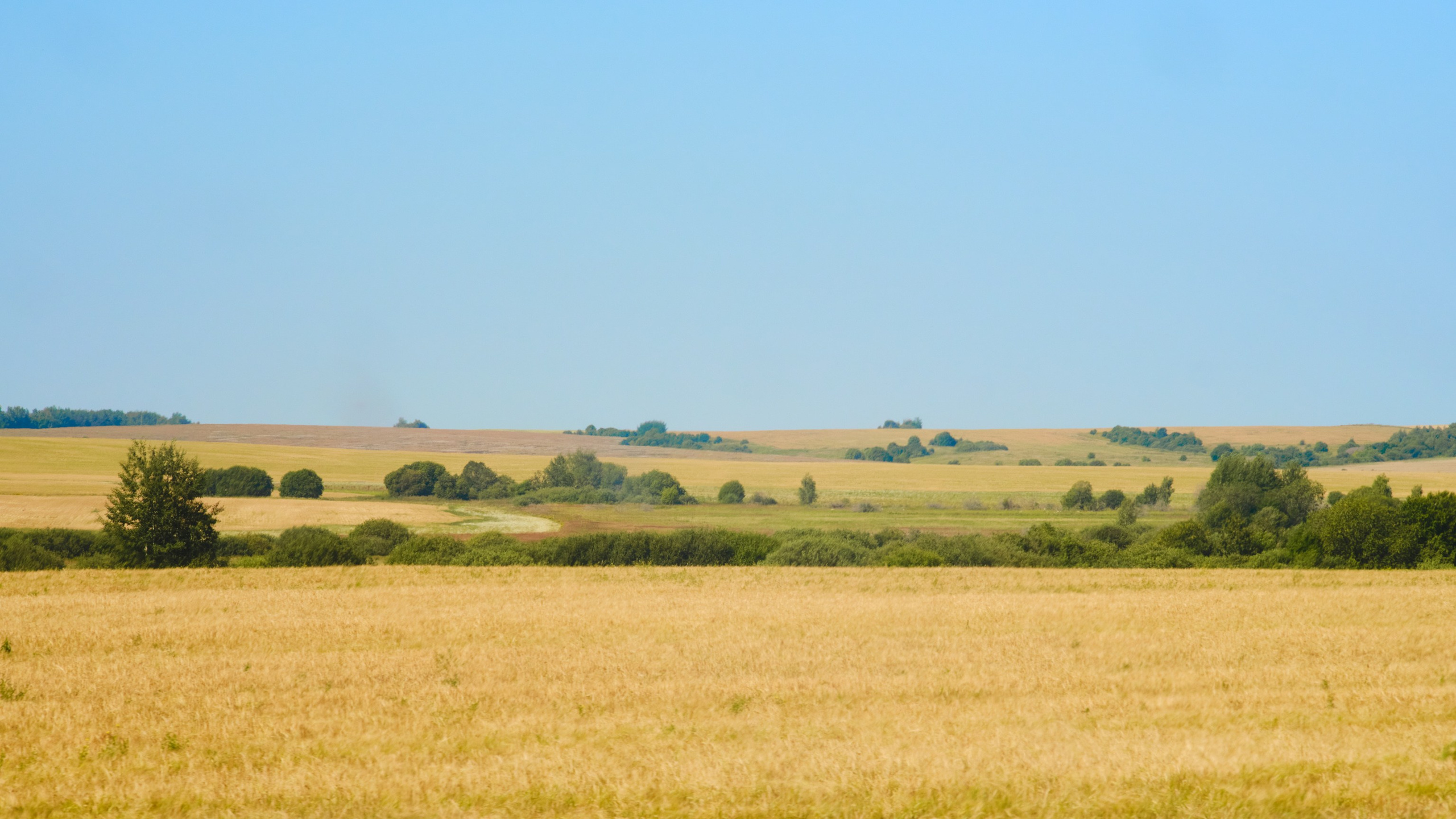 Фотограф Юлия Глазкова