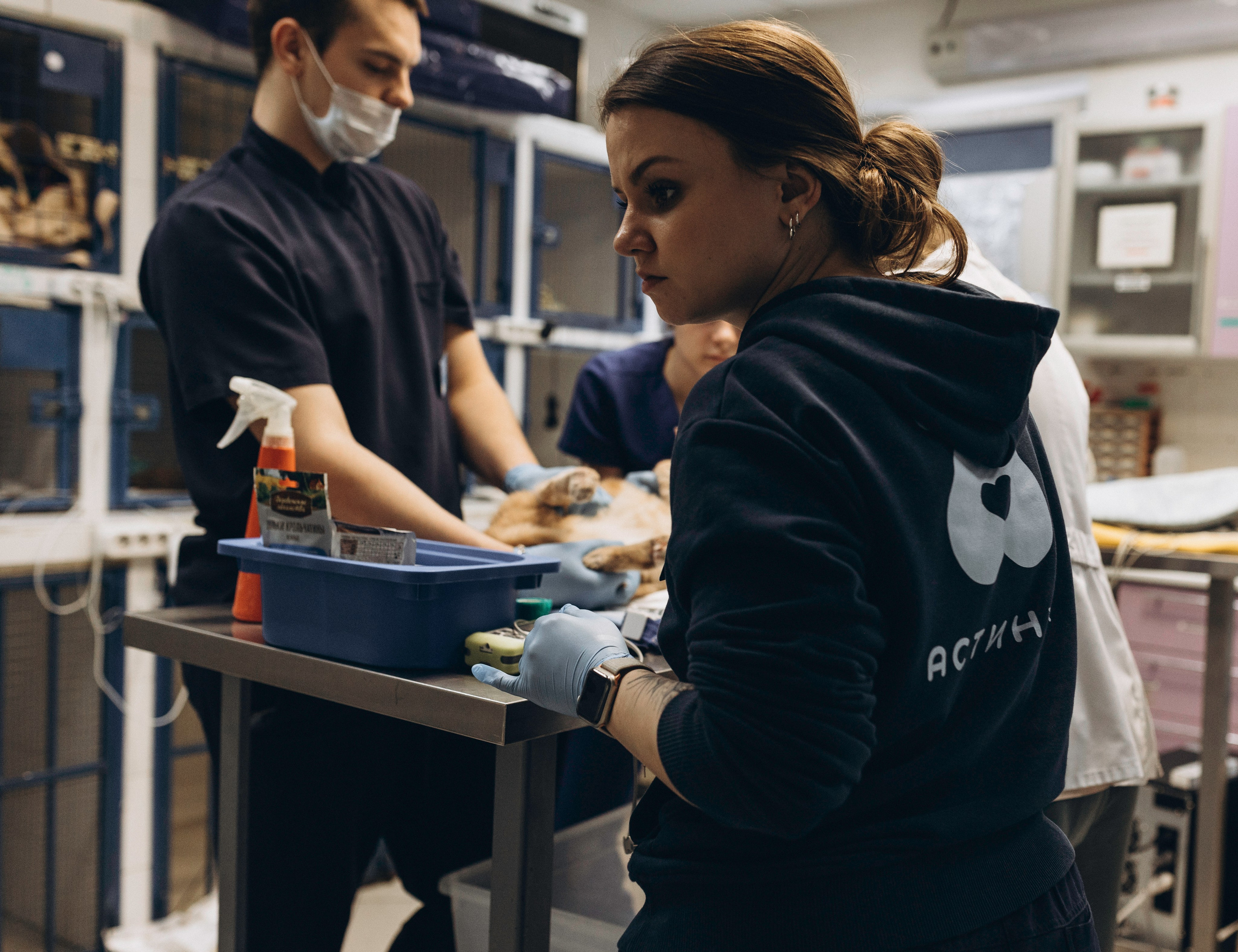 VetLife. Татьяна Афонина | Фотограф