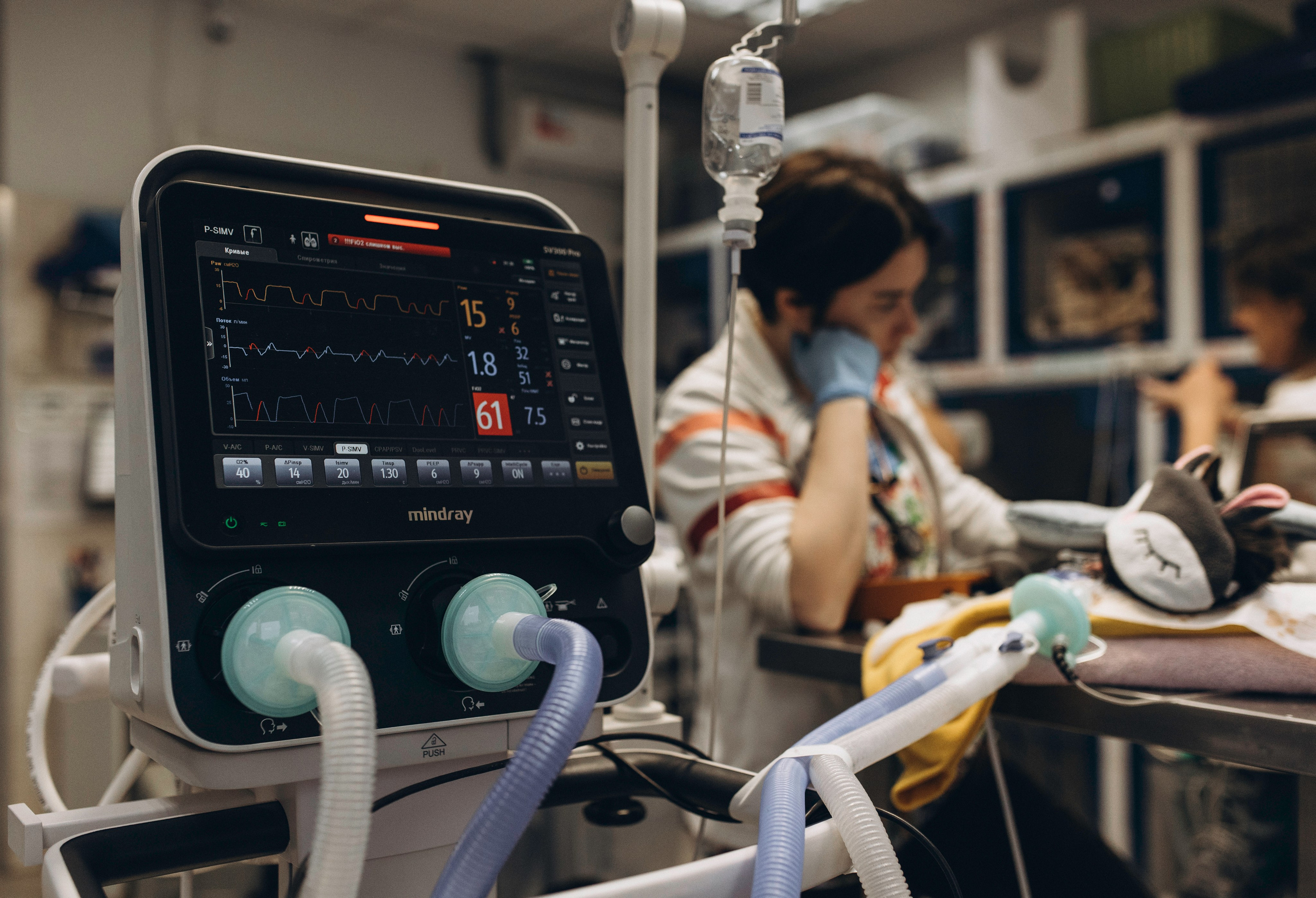 VetLife. Татьяна Афонина | Фотограф