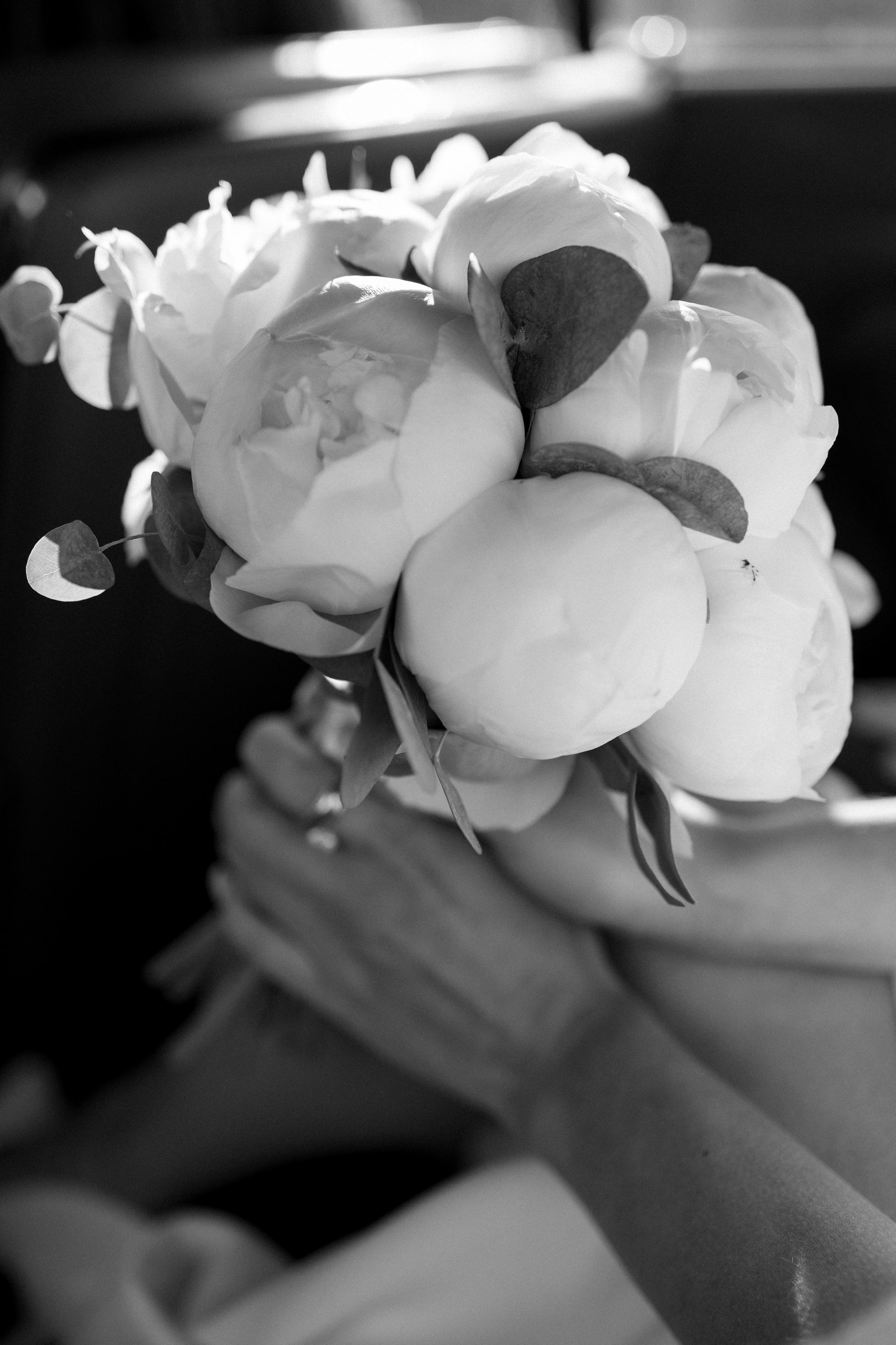 ЗАГС и прогулка. Фотограф в Санкт-Петербурге Шевченко Наталья