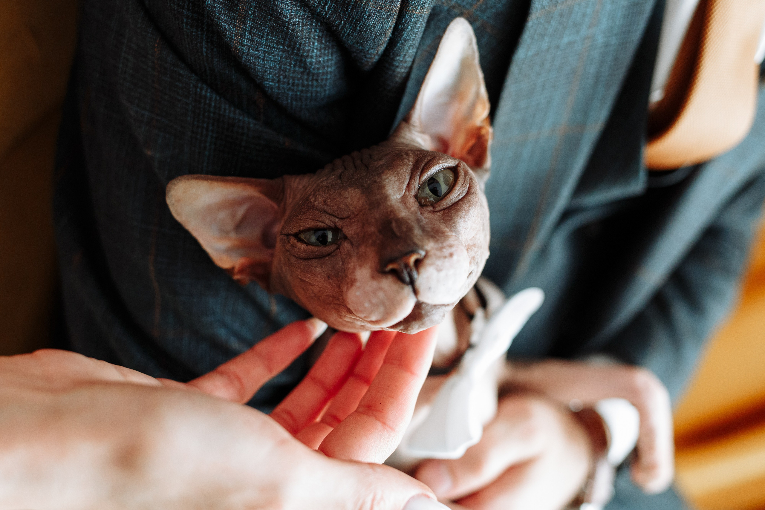 Свадебная фотосессия с кабриолетом и в загородном клубе Artiland. Свадебный фотограф Москва и МО Сергей Киржаев