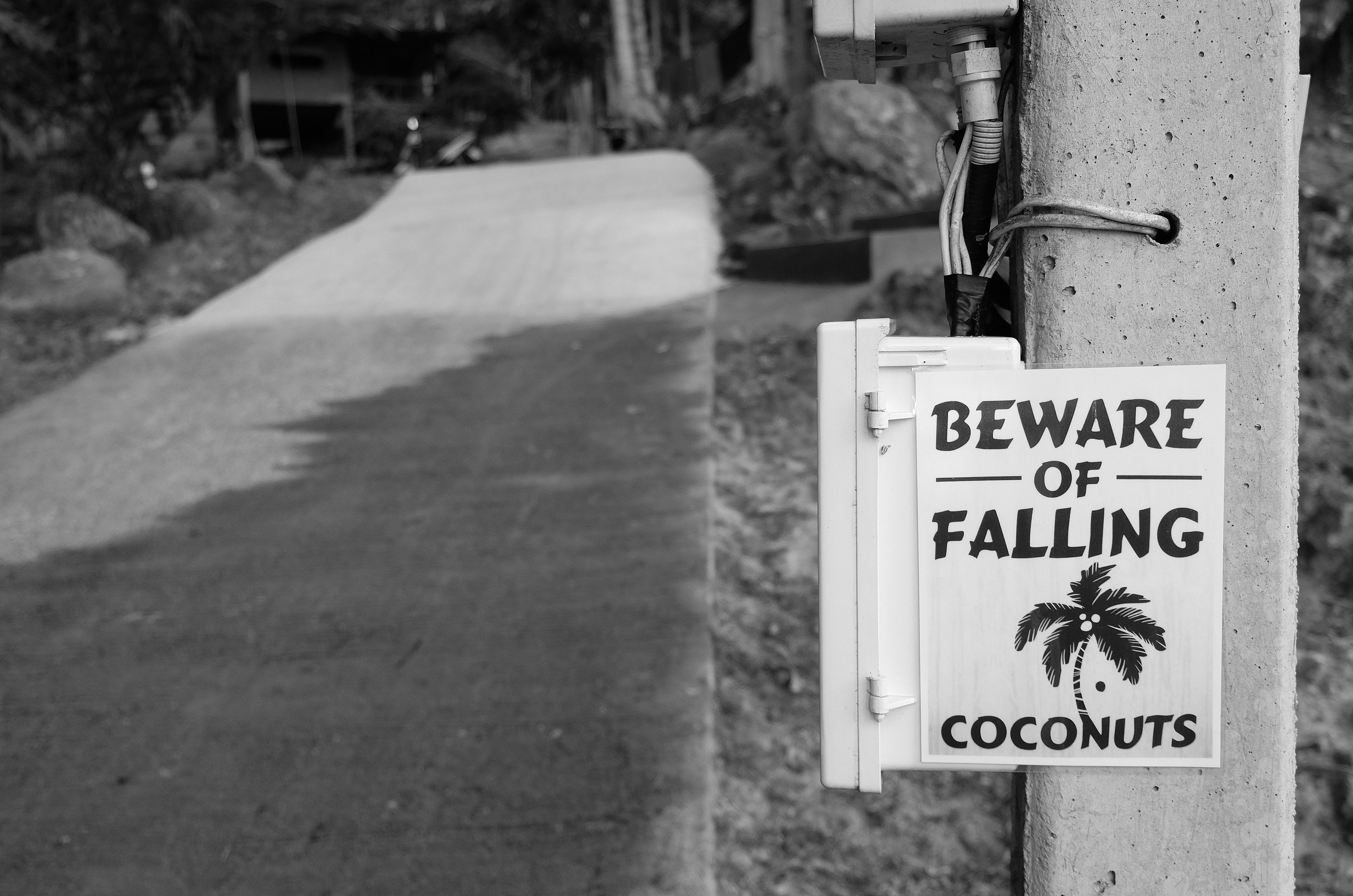 Street/ Thailand/ 2020. Anna Fedo Photo