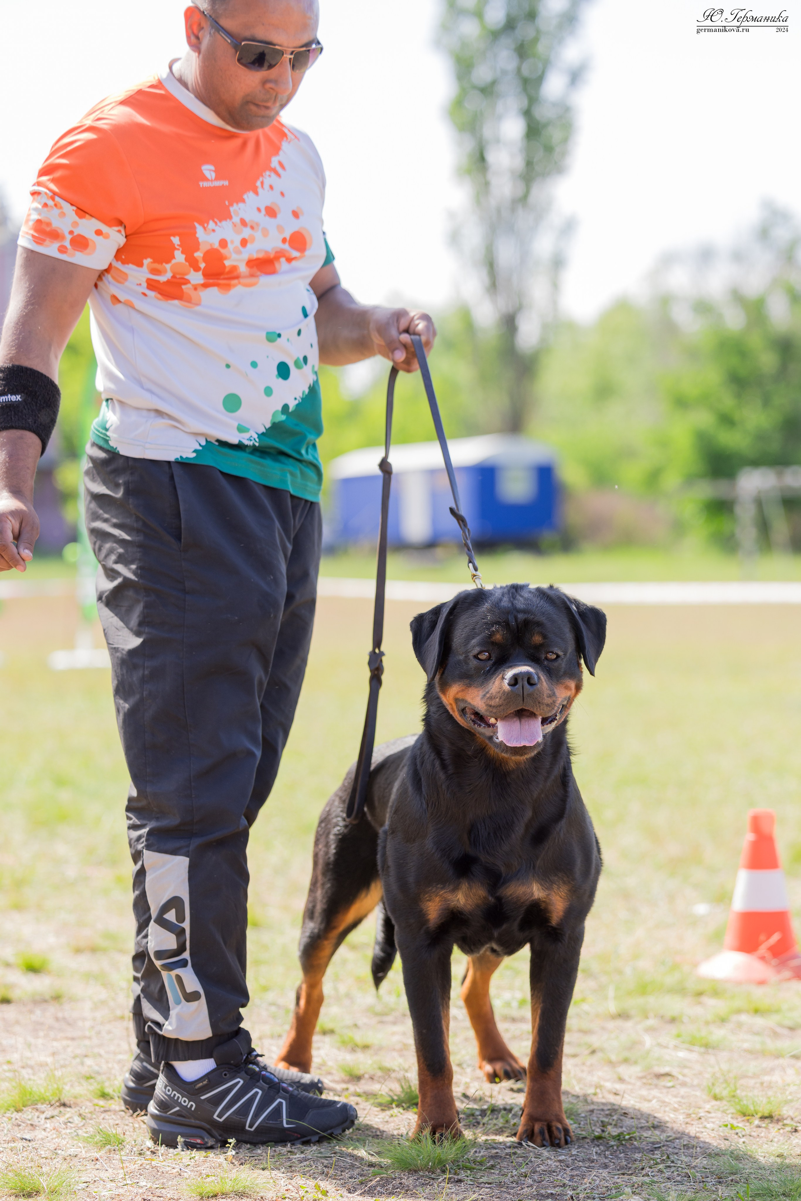Воронеж моно ротвейлеров 25-26.05.2024. Фотограф-анималист Юлия Германика
