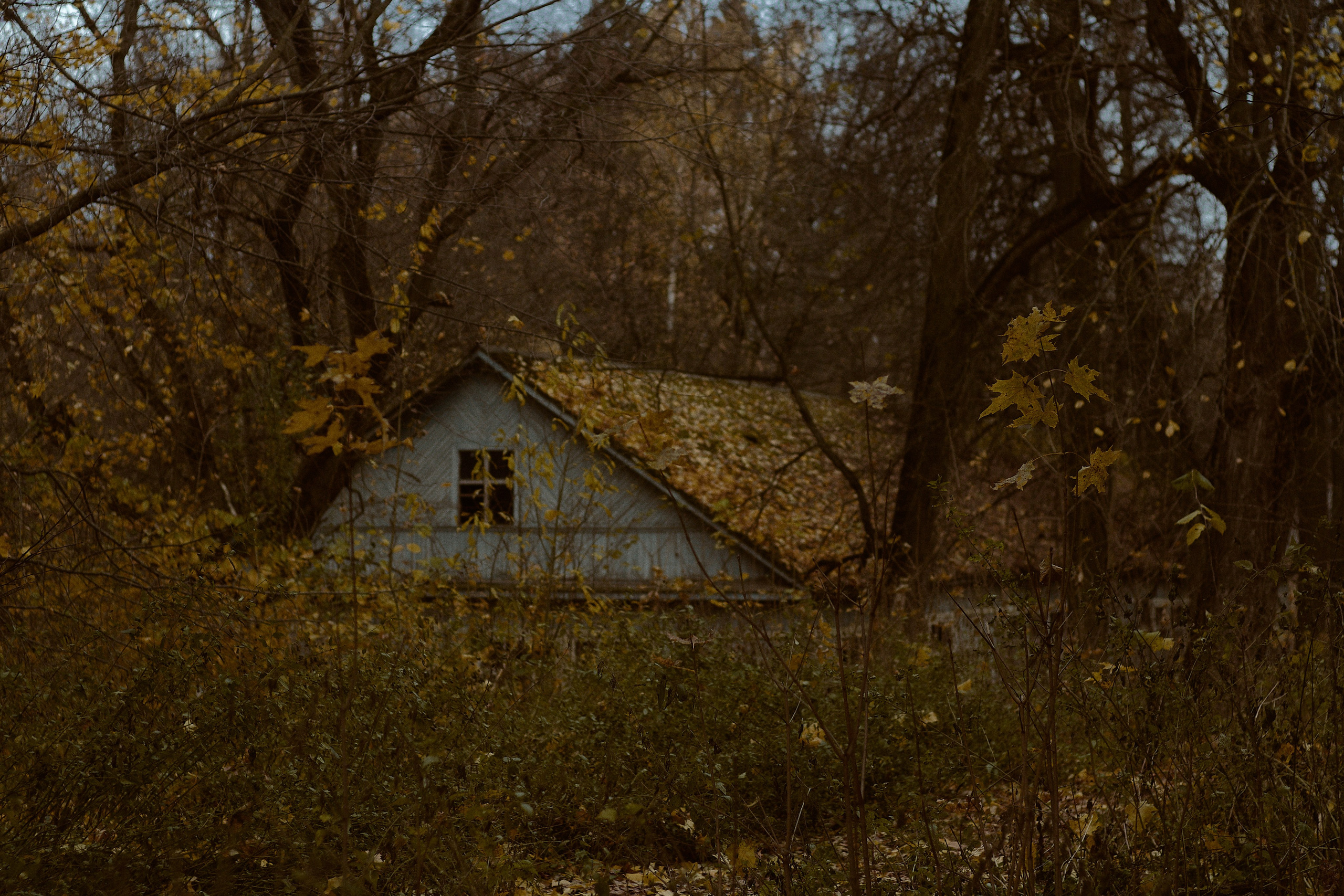 Русская сказка. Фотограф лавстори Москва/МО Приятелева Ангелина