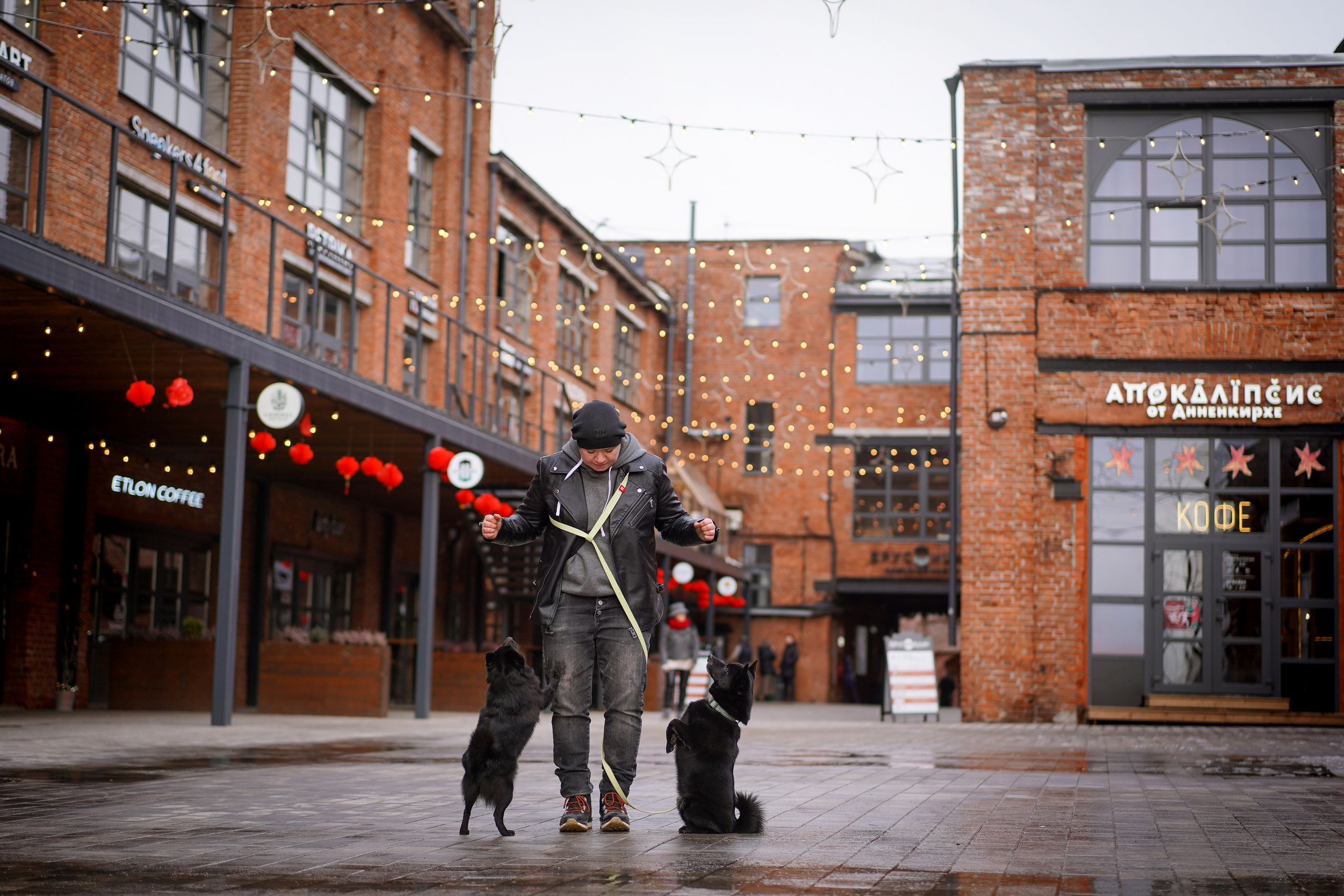 Аня Арчи и Мишель. Фотограф-анималист в Санкт-Петербурге Яна Мартынова