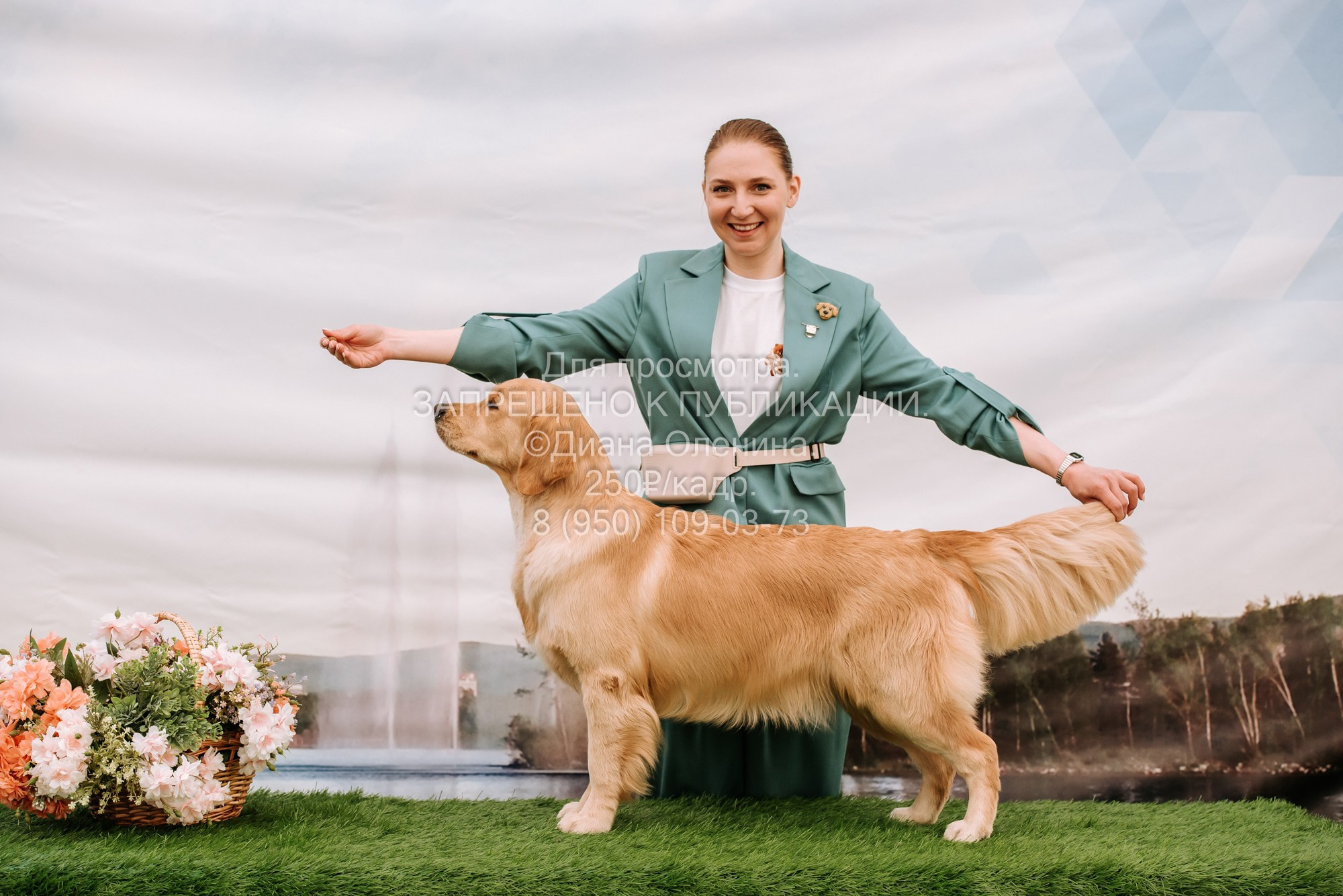 Выставка собак Красноярск 2.06. Фотограф Диана Оленина Красноярск / Братск