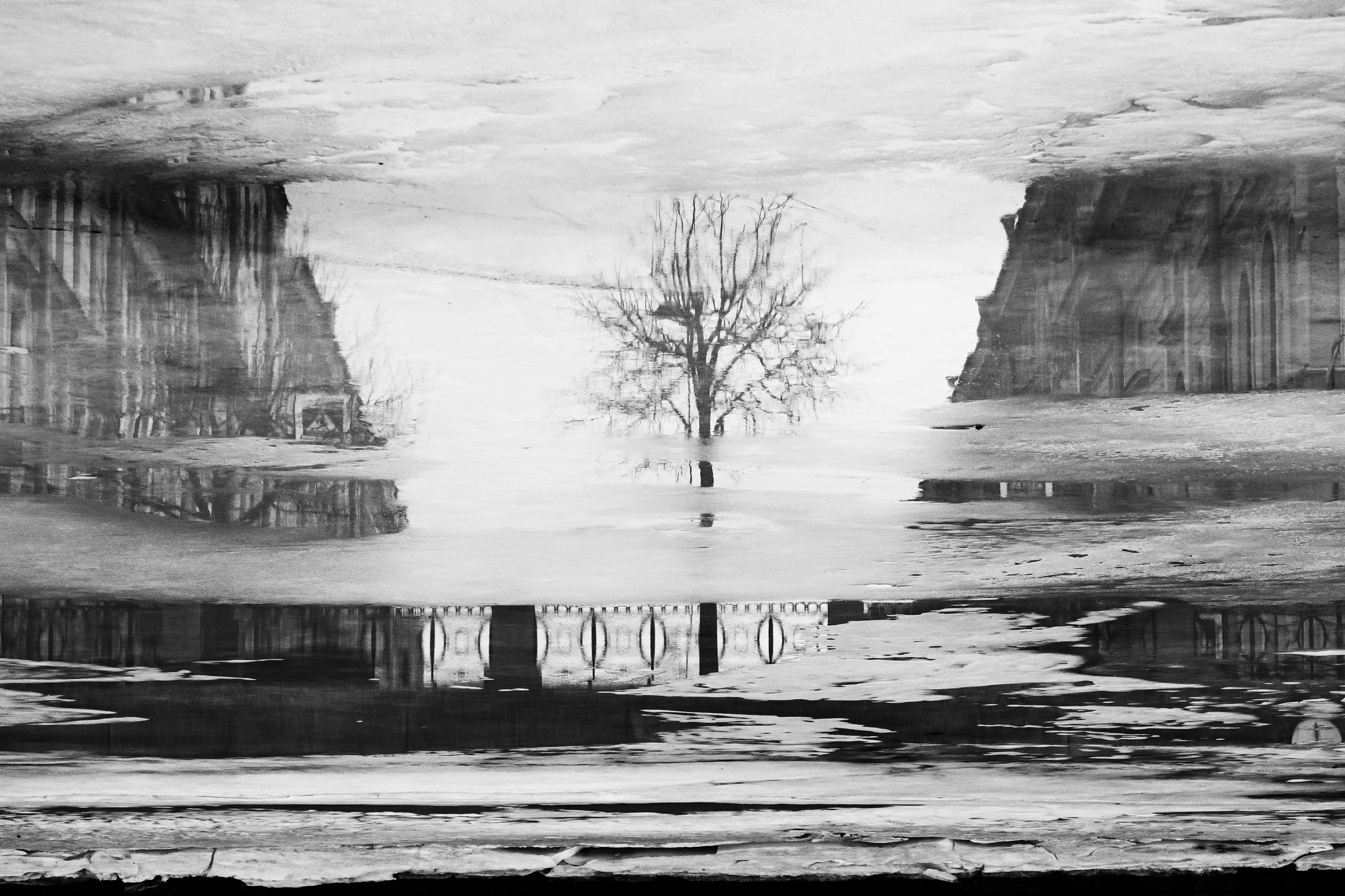 Dimitri Bakhtadze, black and white photos. Dimitri Bakhtadze photographer