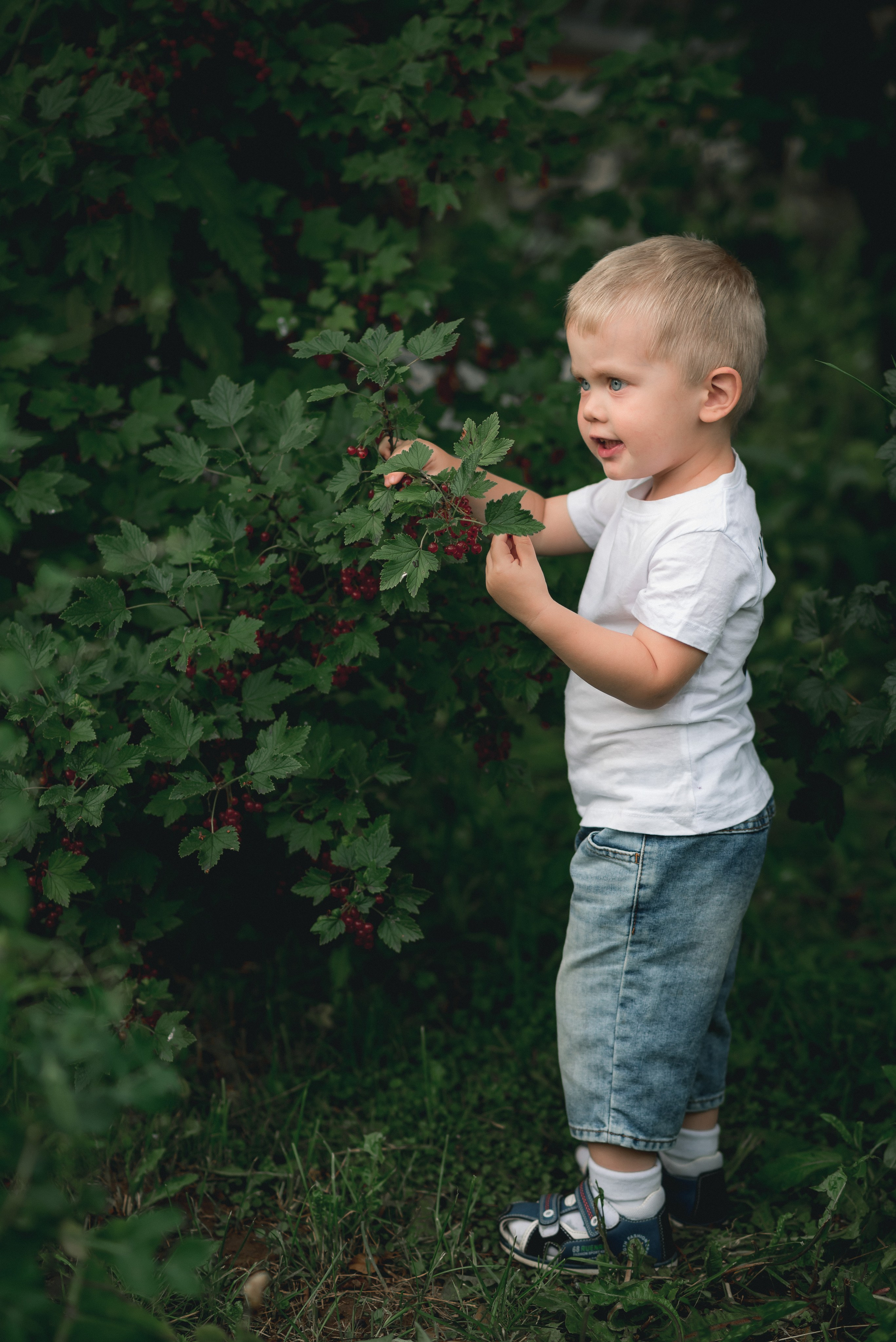 Наш Дом. Фотограф в Ижевске Наталья Медведцева