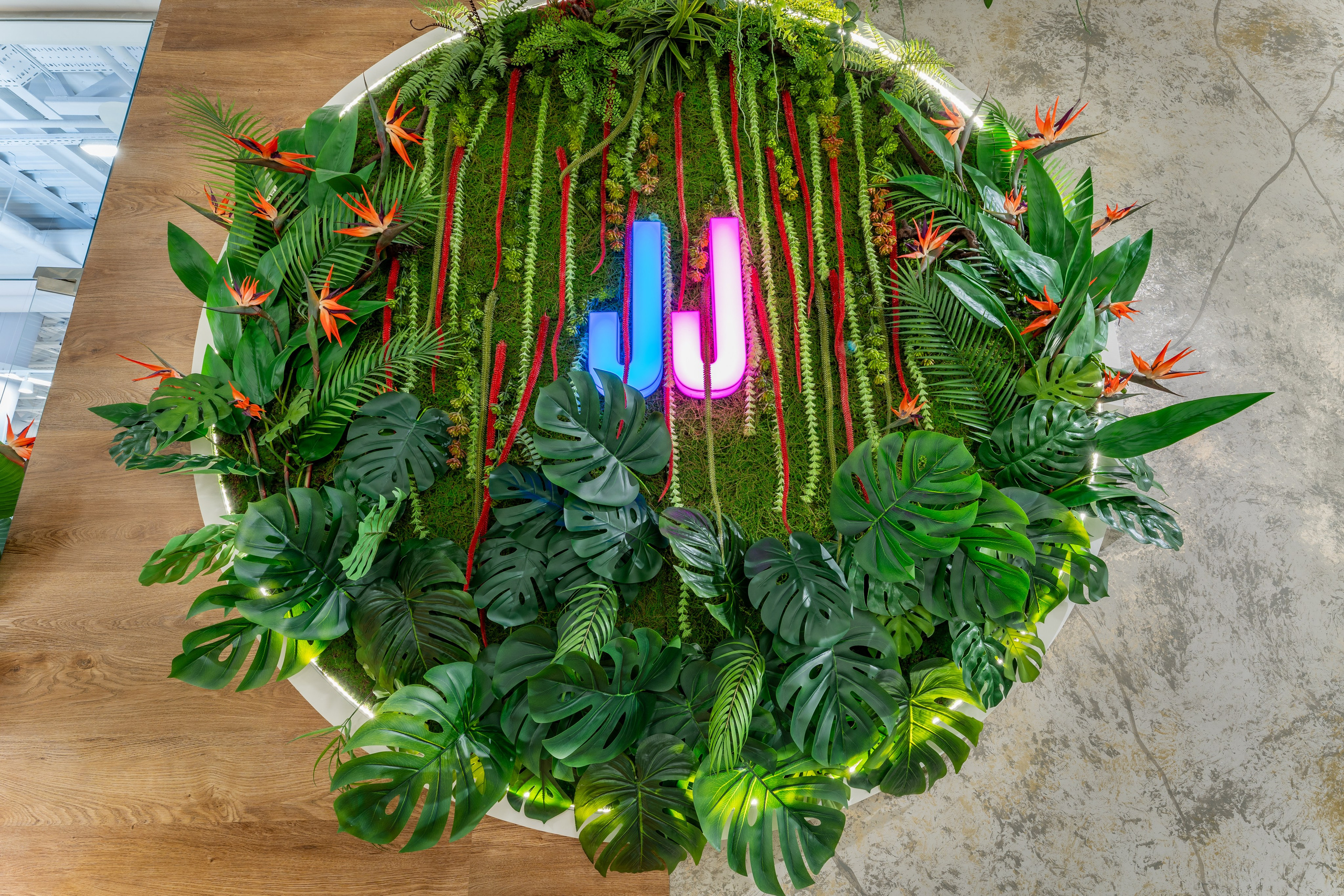 Парк развлечений Joki Joya Лефортово. Интерьерный фотограф Александра Солдатова