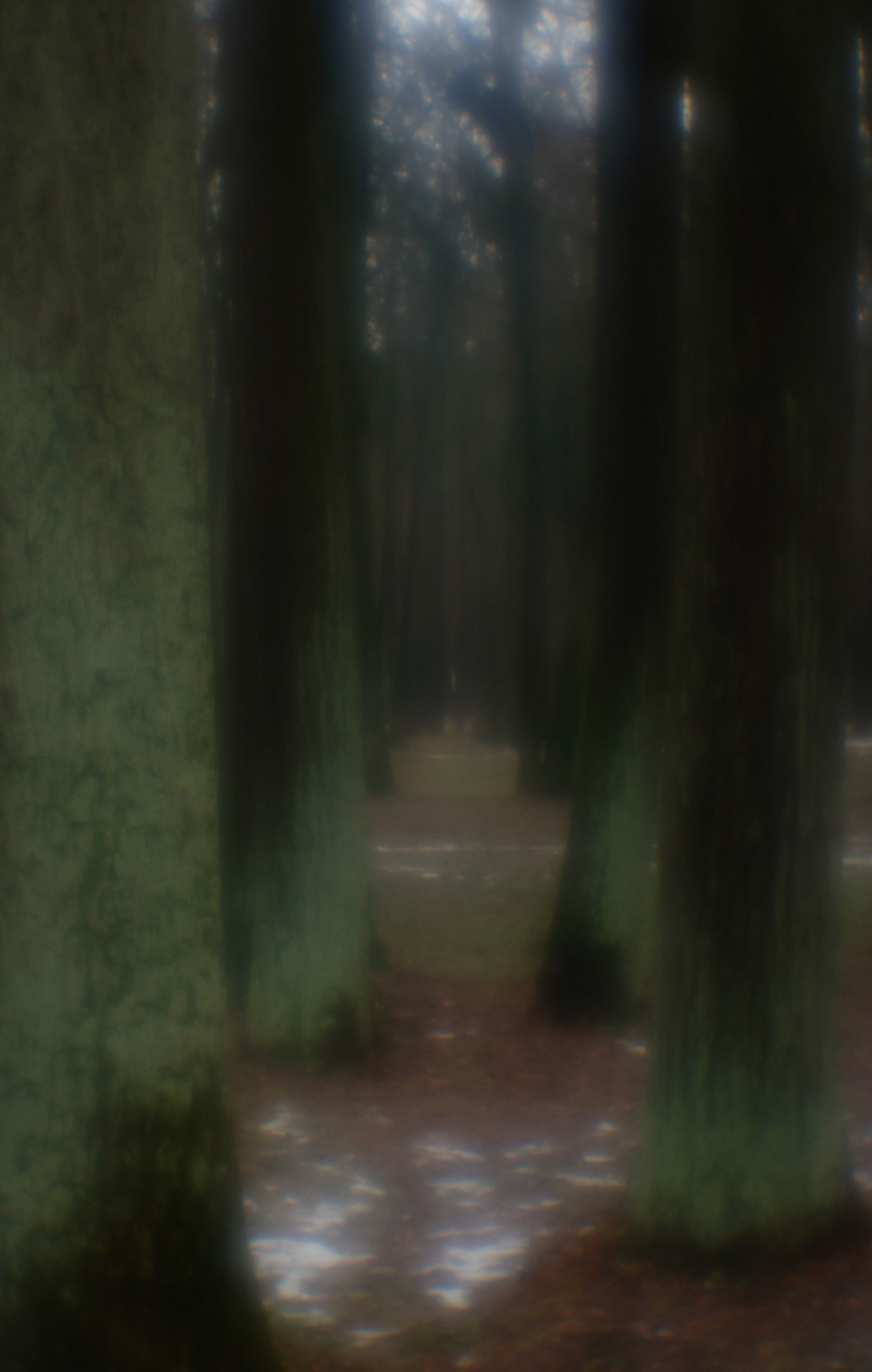 ПЕЙЗАЖИ. Профессиональный фотограф в Москве  Елена Фатьянова