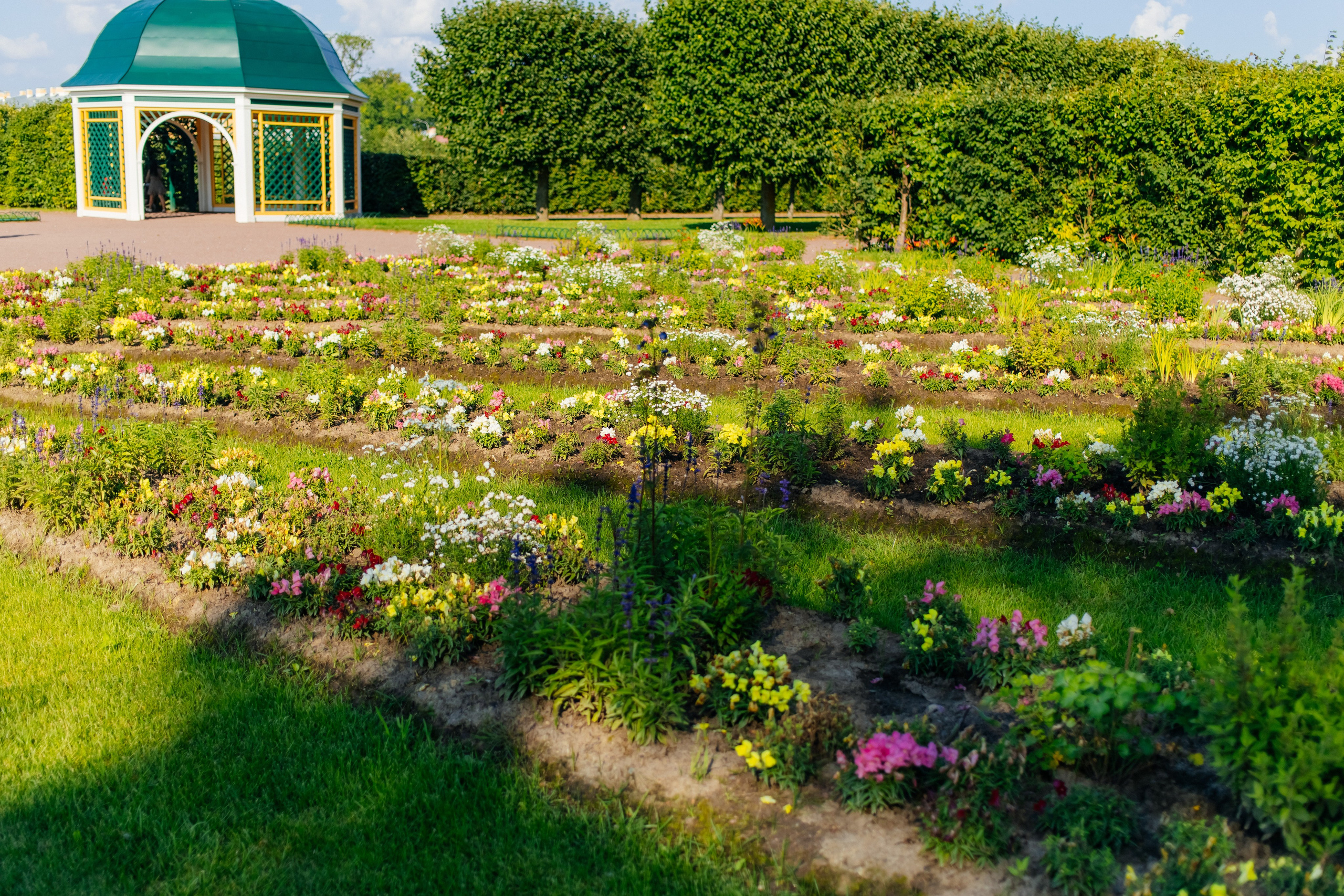 Фотосессия в Петергофе и Санкт-Петербурге