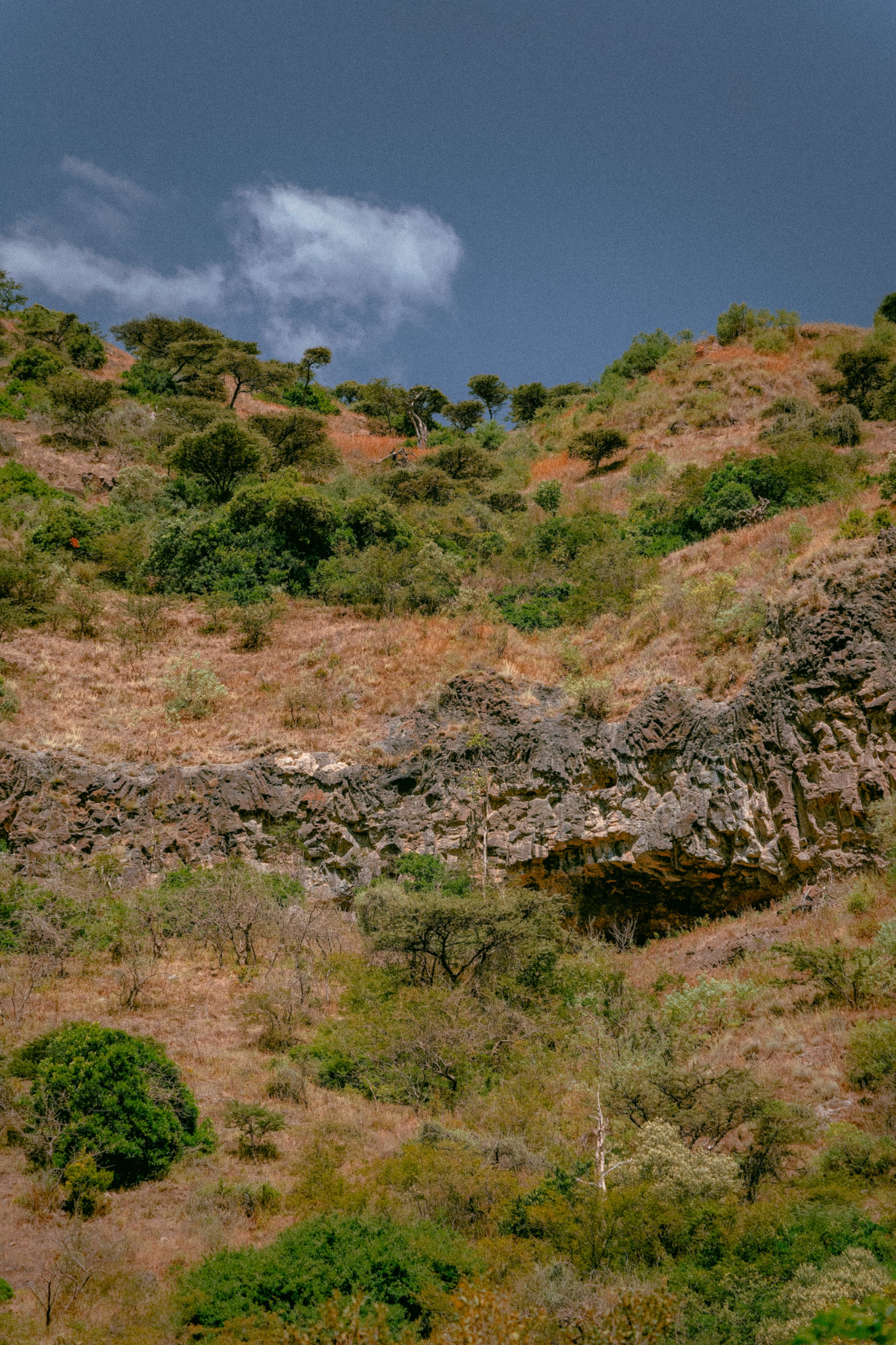 Плато жизни: Эфиопское нагорье. Юля Дэй • Фотограф, Санкт-Петербург