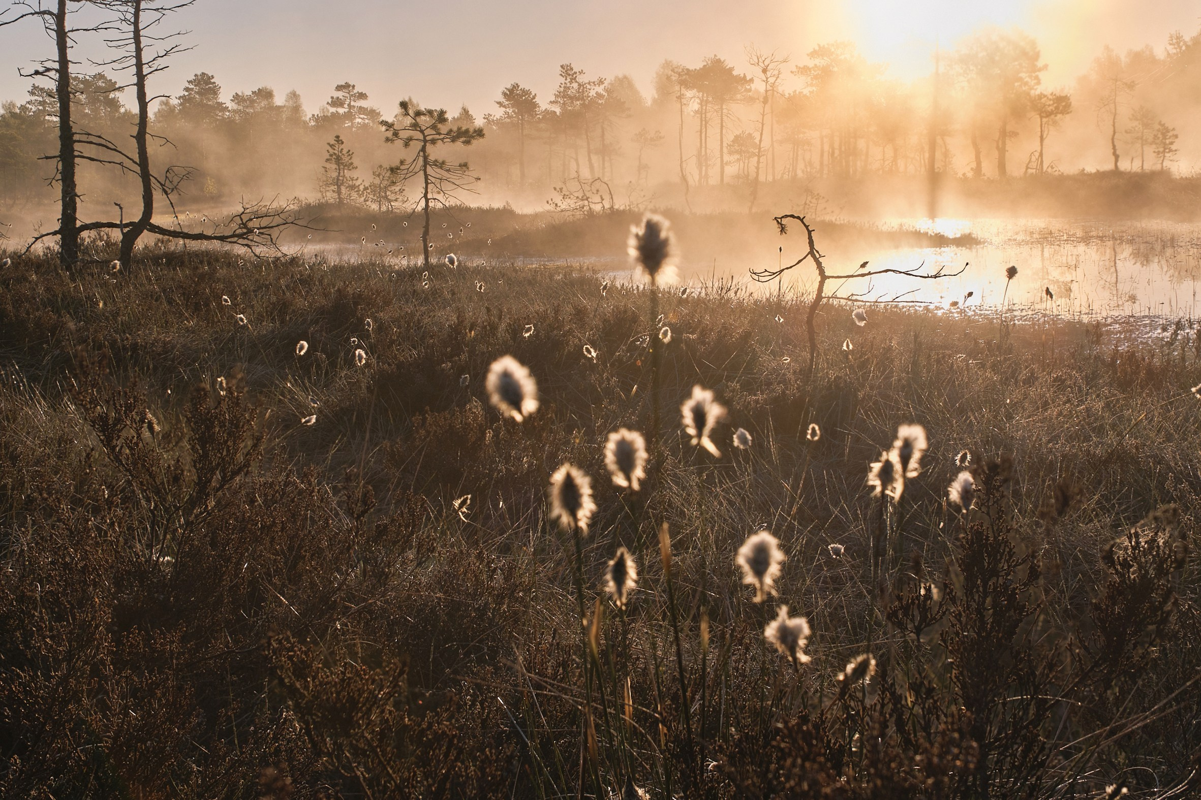 Северные дневники. Алиса Северная. Визуальные исследования. Пейзажная и документальная фотография
