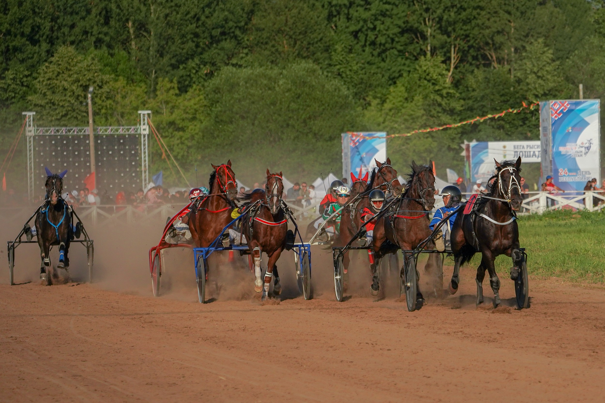 III конные бега на Кубок Главы Чувашии. Фотограф-анималист, портретный фотограф в Чебоксарах Мария Садыкова