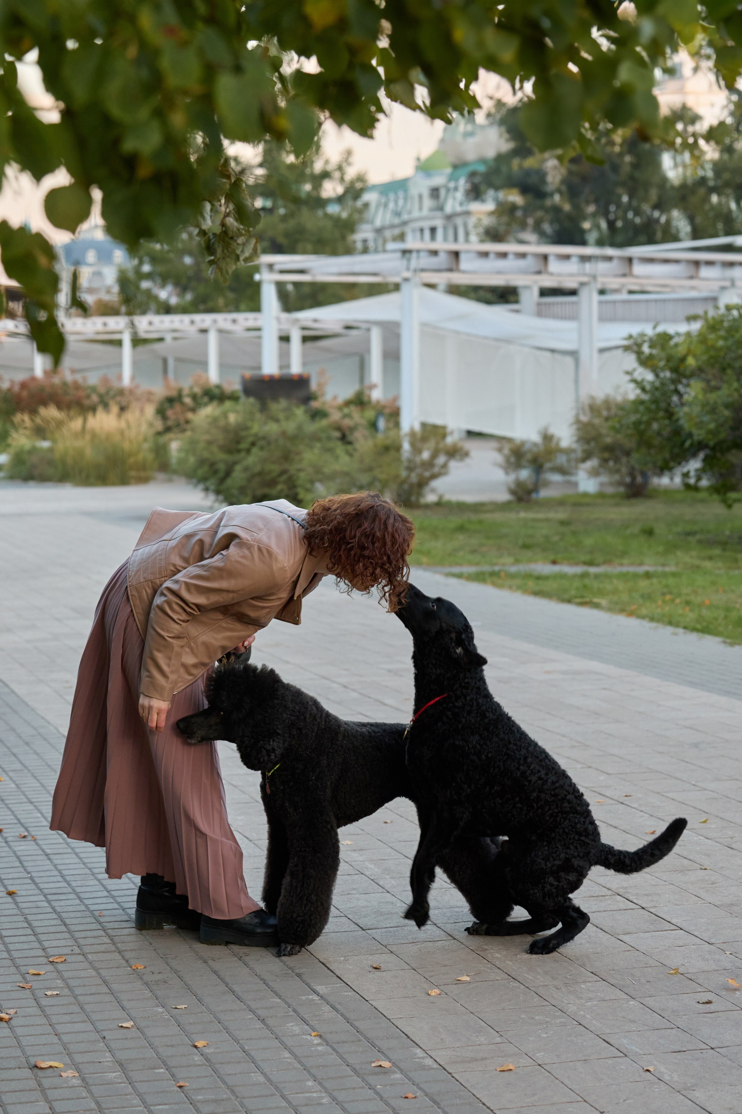 Альбина. Марфа и Мистик. Прогулка в парке. Фотограф анималист в Казани Алина Сулейманова. Фотограф животных