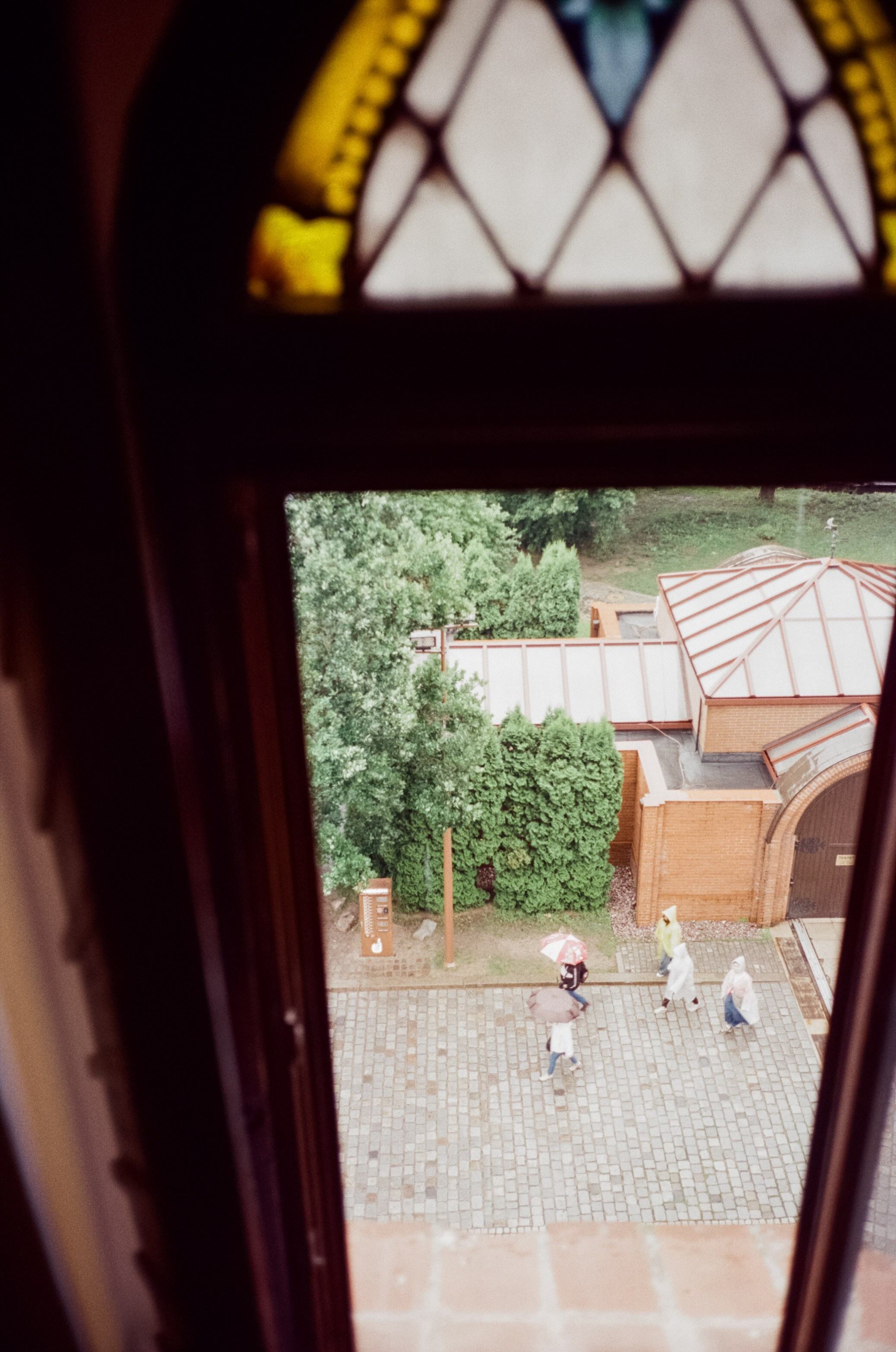 Остров Канта и Кафедральный Собор. Фотограф-документалист Мария Осокина