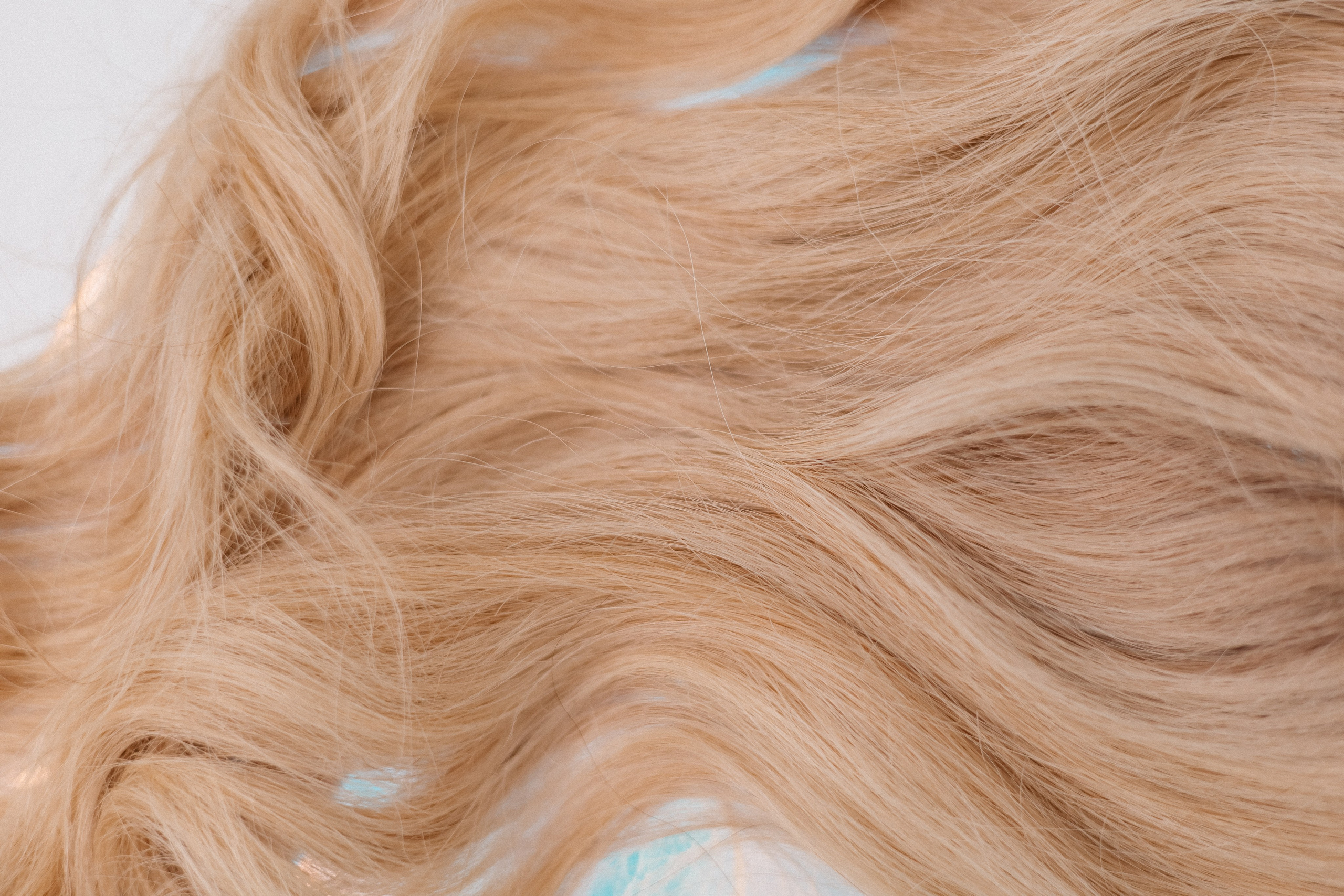 Мастера по наращиванию волос. Светлана Ванцлав — фотограф Минск, Беларусь