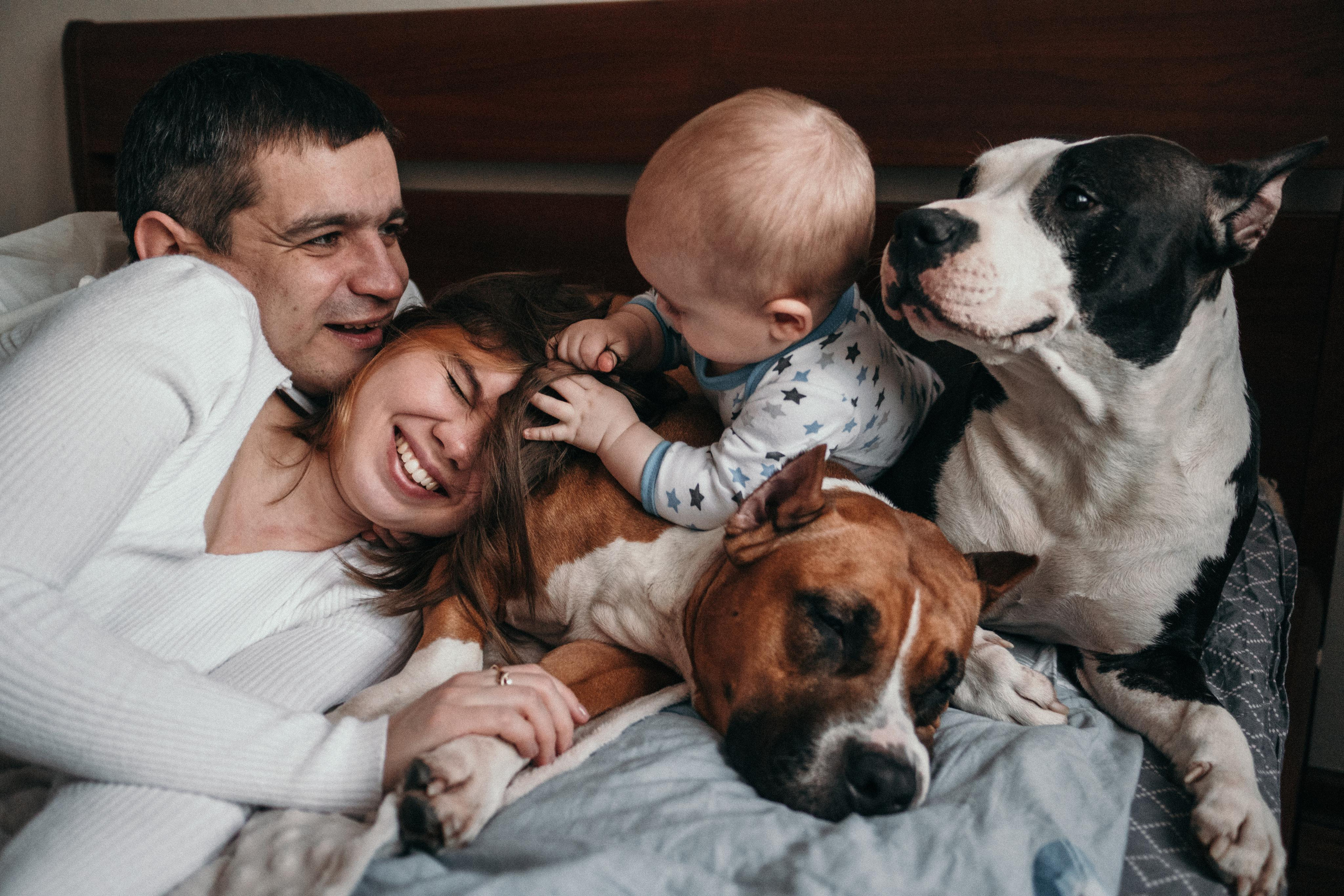 Домашняя фотосессия с собаками. Семейный и детский фотограф в Санкт-Петербурге Наталья Григорьева