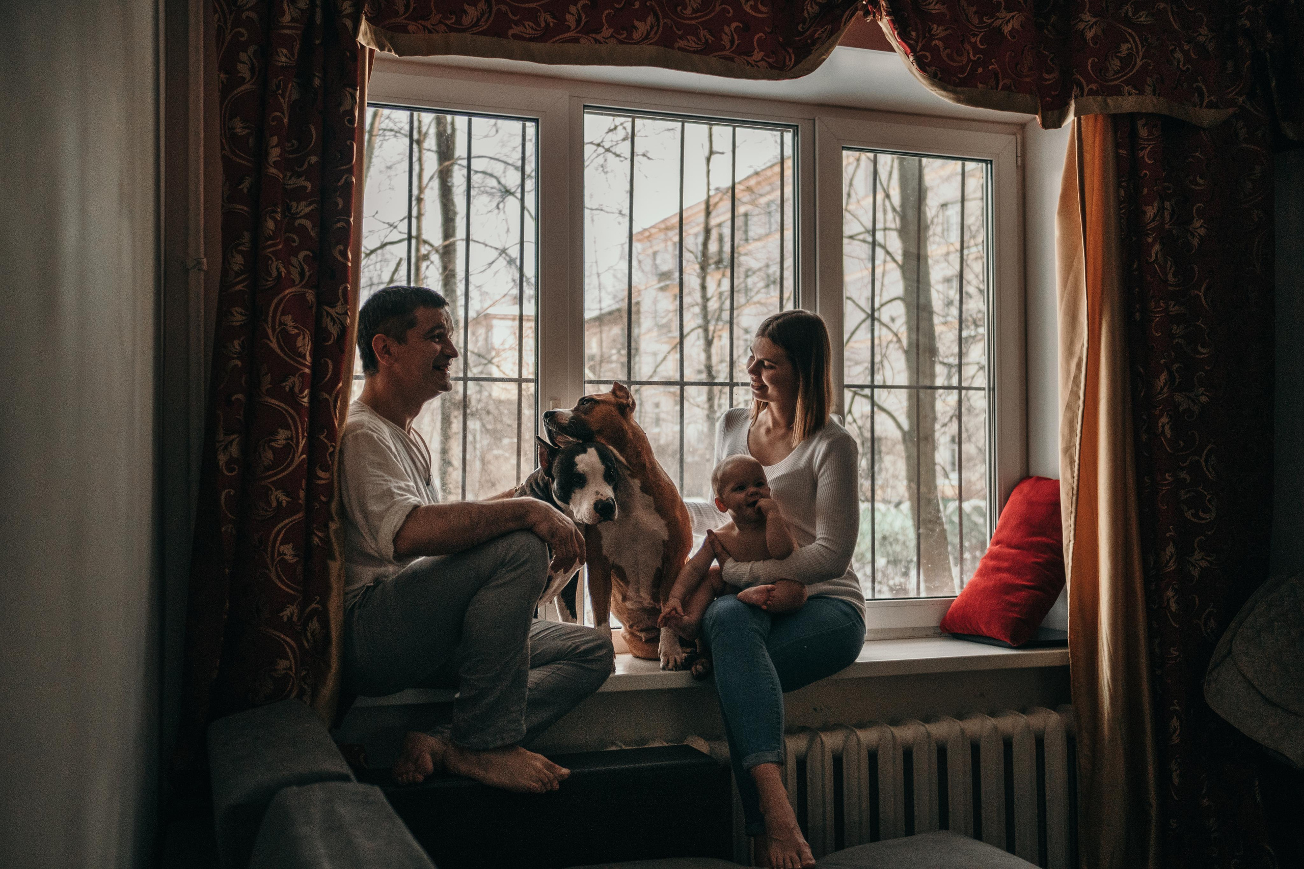 Домашняя фотосессия с собаками. Семейный и детский фотограф в Санкт-Петербурге Наталья Григорьева