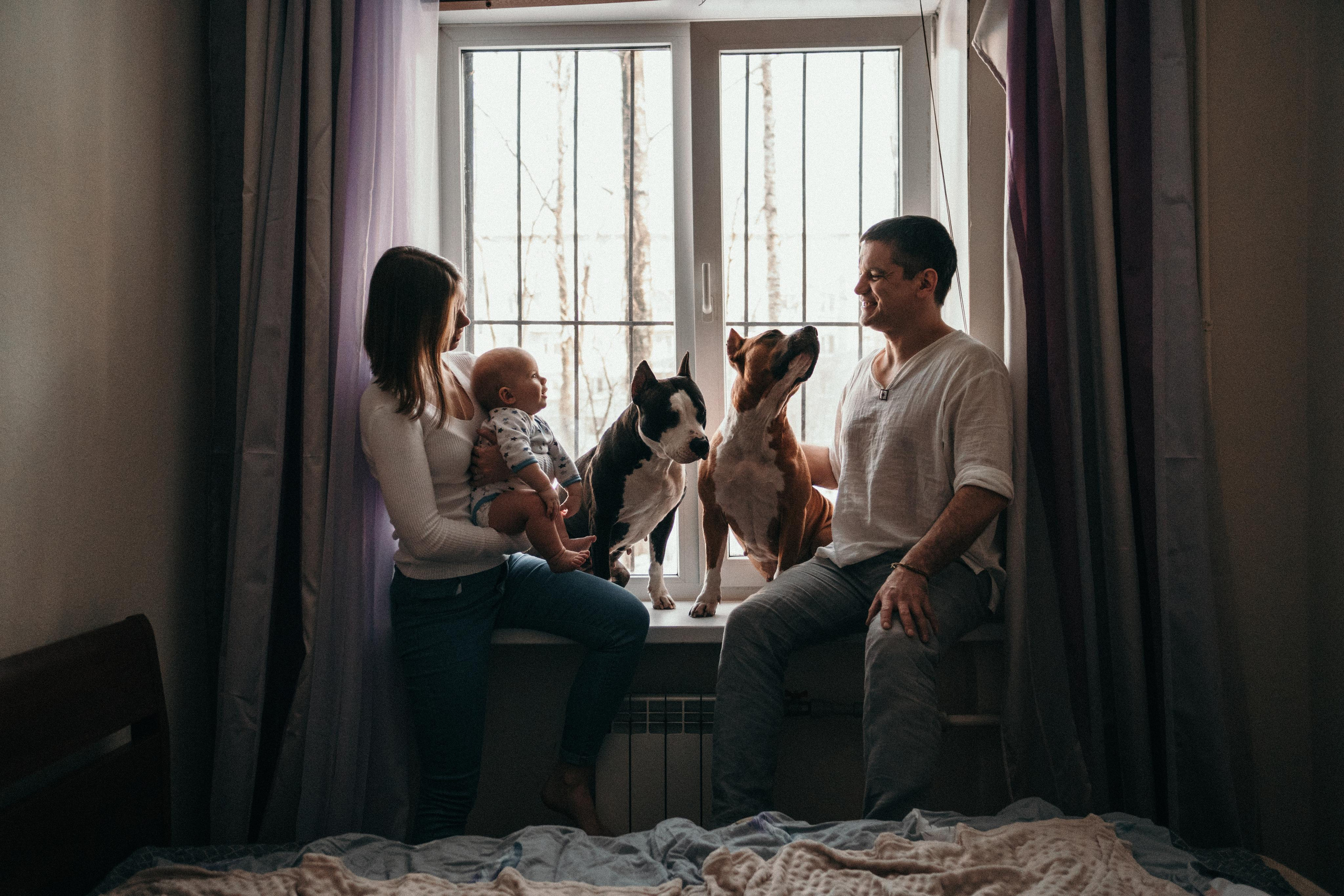 Домашняя фотосессия с собаками. Семейный и детский фотограф в Санкт-Петербурге Наталья Григорьева