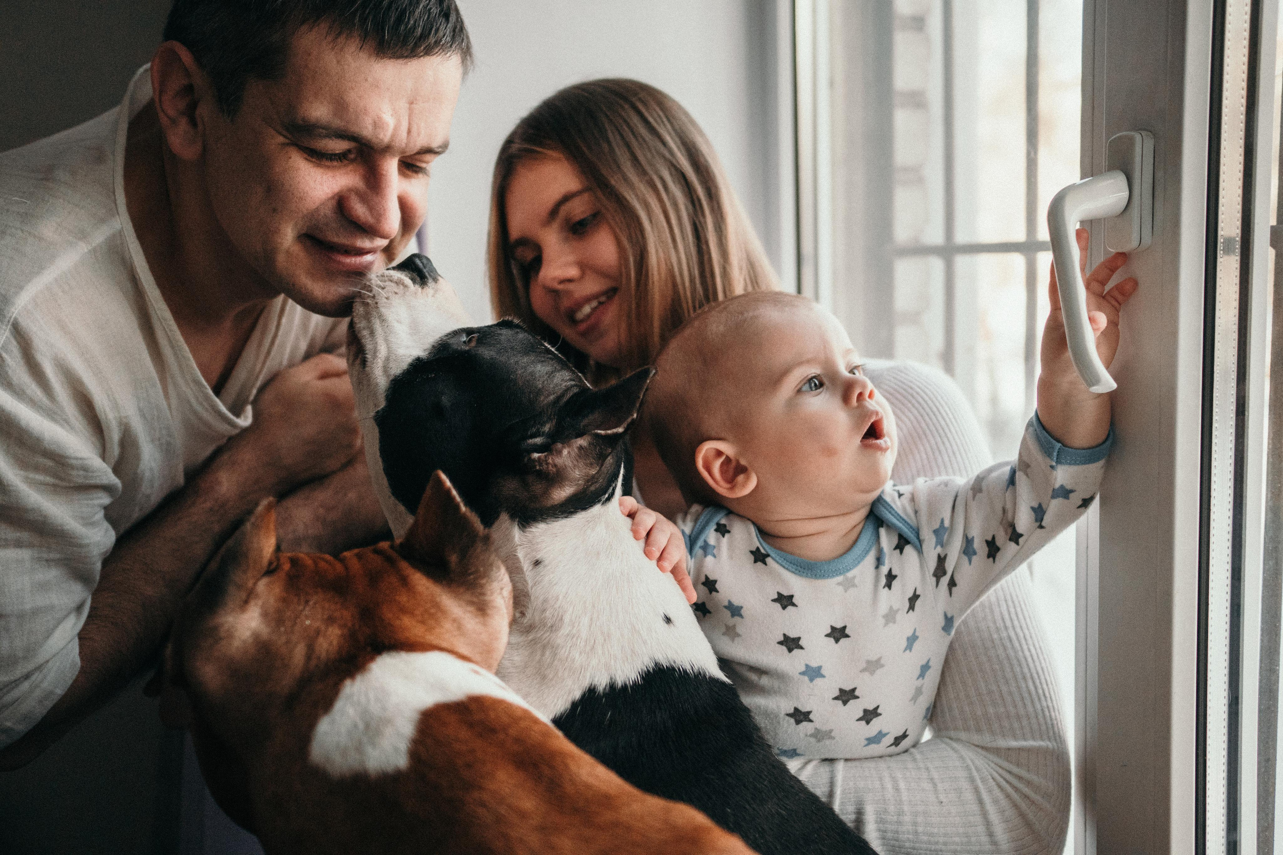 Домашняя фотосессия с собаками. Семейный и детский фотограф в Санкт-Петербурге Наталья Григорьева
