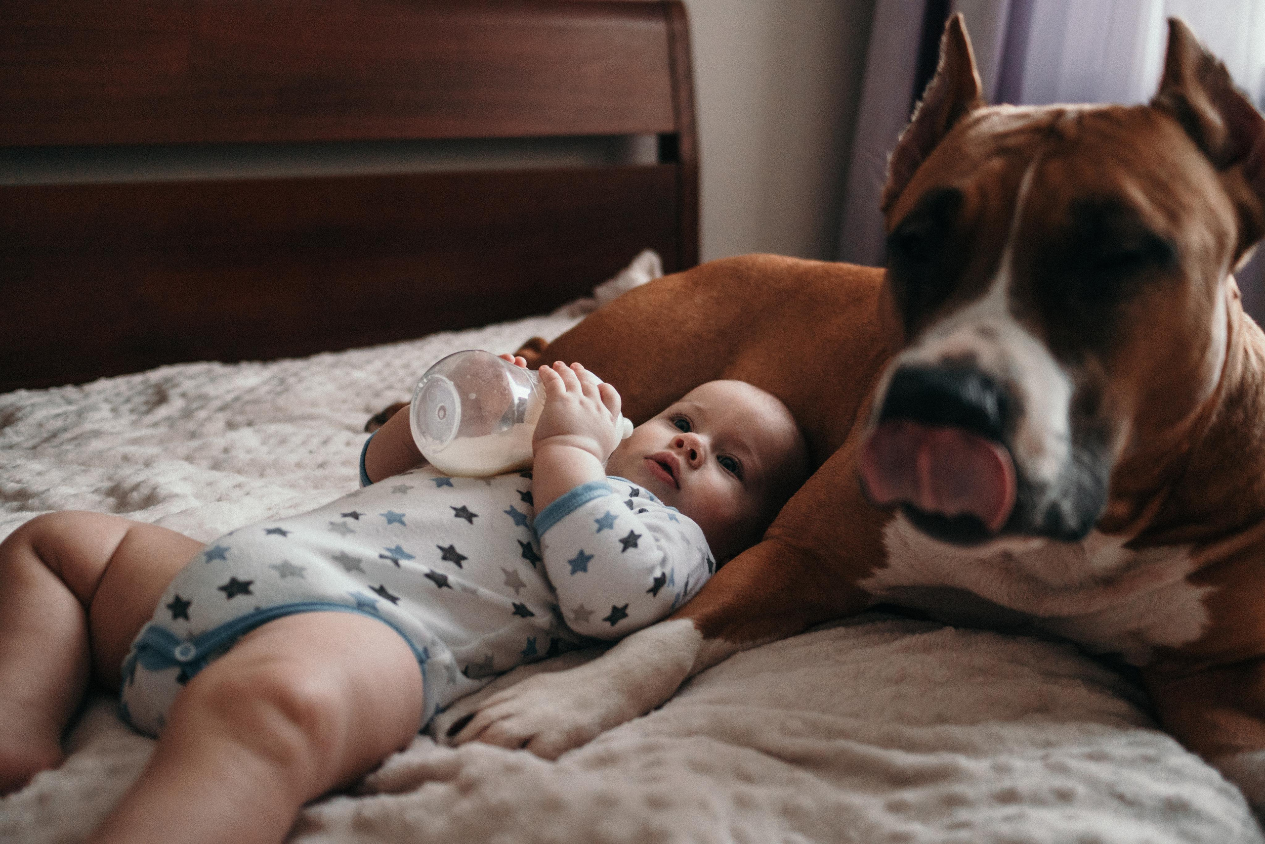 Домашняя фотосессия с собаками. Семейный и детский фотограф в Санкт-Петербурге Наталья Григорьева
