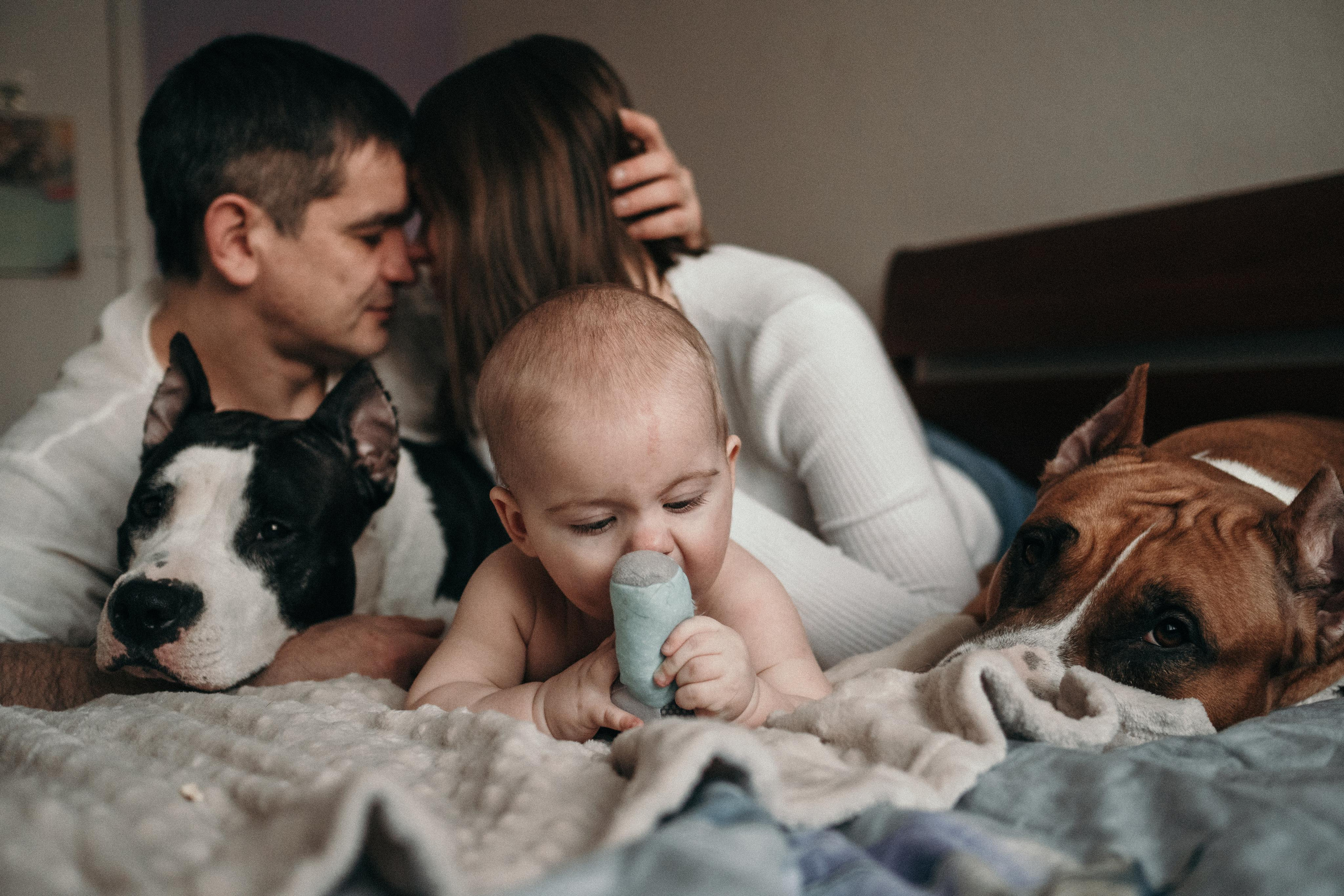 Домашняя фотосессия с собаками. Семейный и детский фотограф в Санкт-Петербурге Наталья Григорьева
