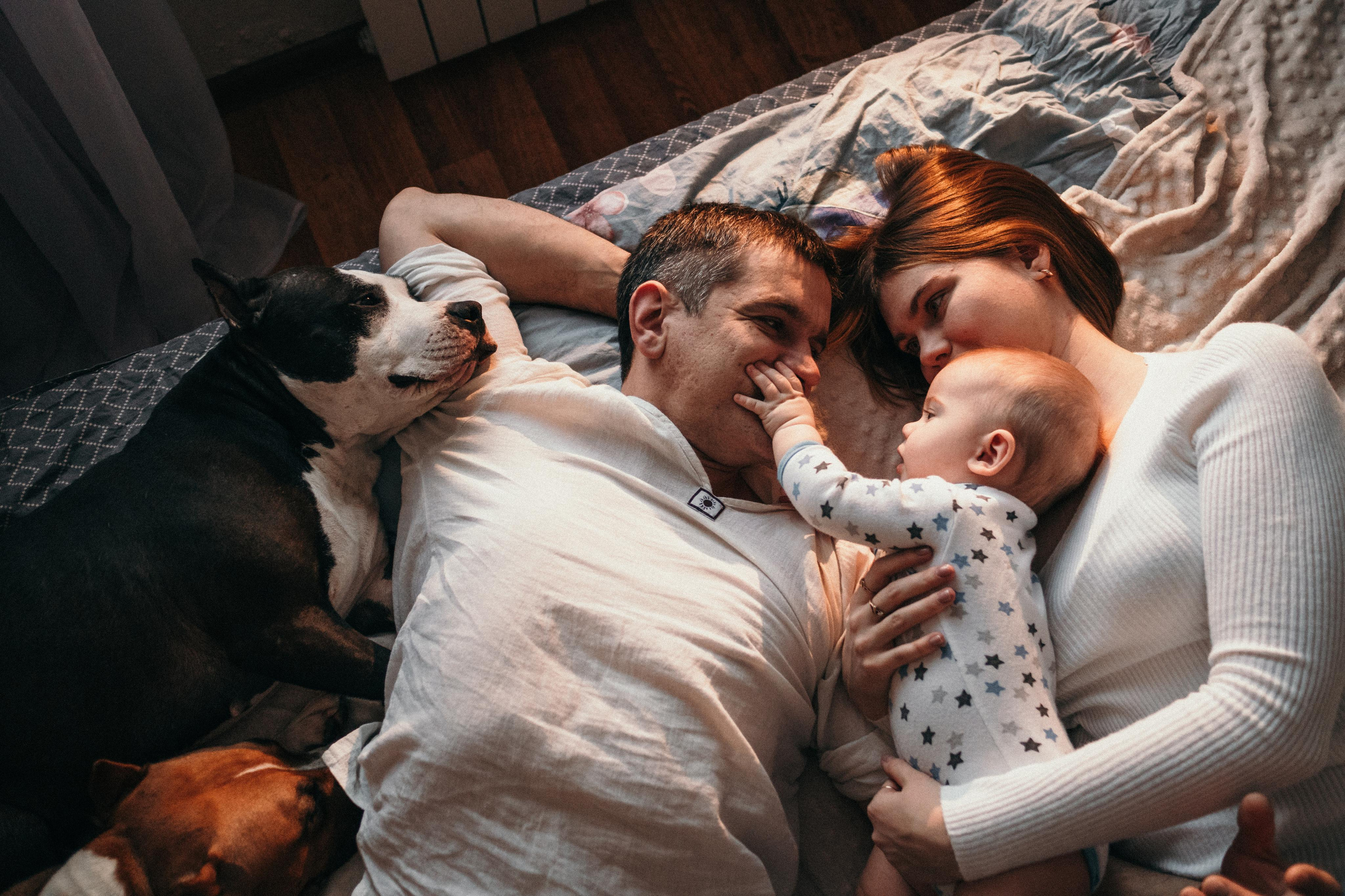 Домашняя фотосессия с собаками. Семейный и детский фотограф в Санкт-Петербурге Наталья Григорьева