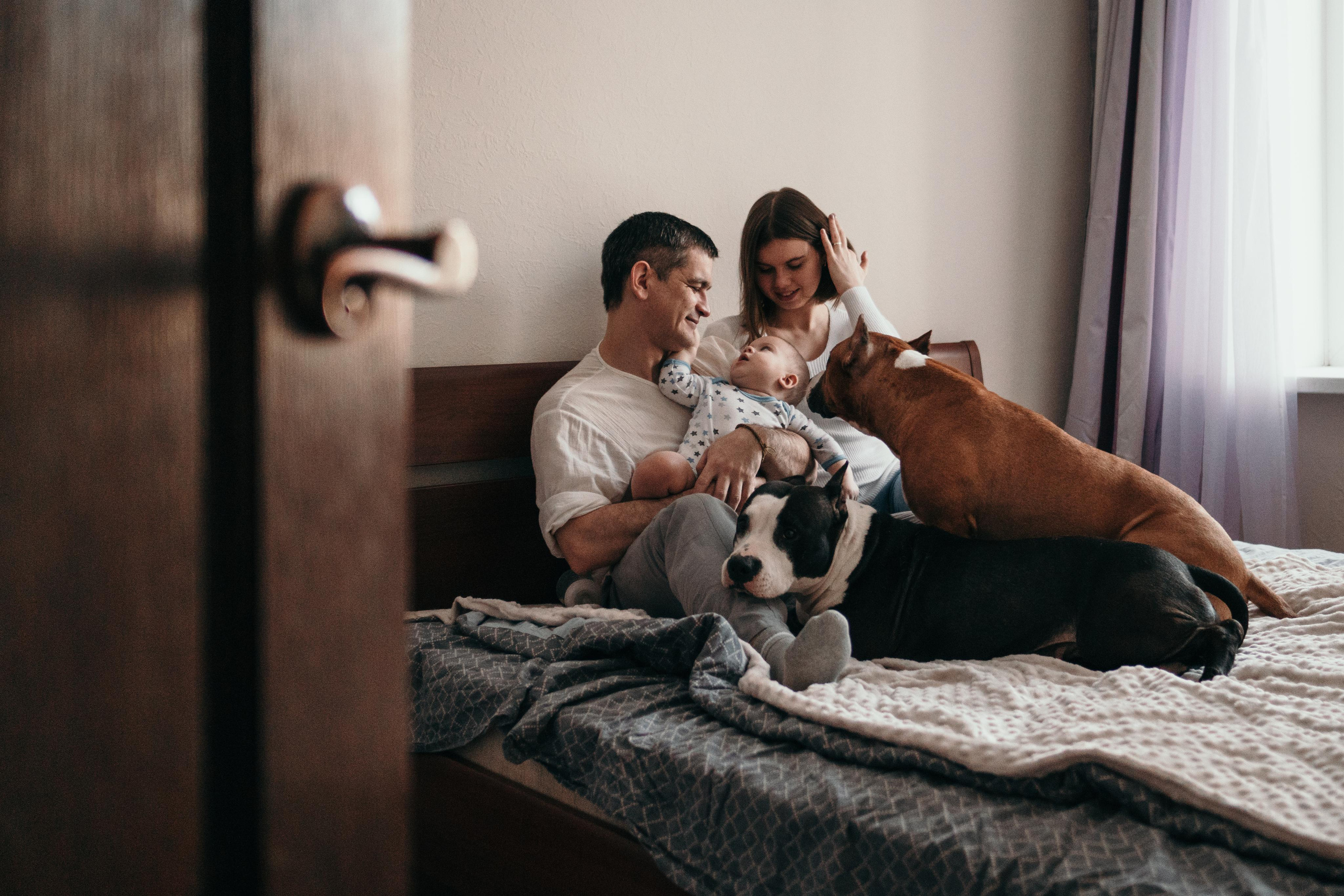 Домашняя фотосессия с собаками. Семейный и детский фотограф в Санкт-Петербурге Наталья Григорьева