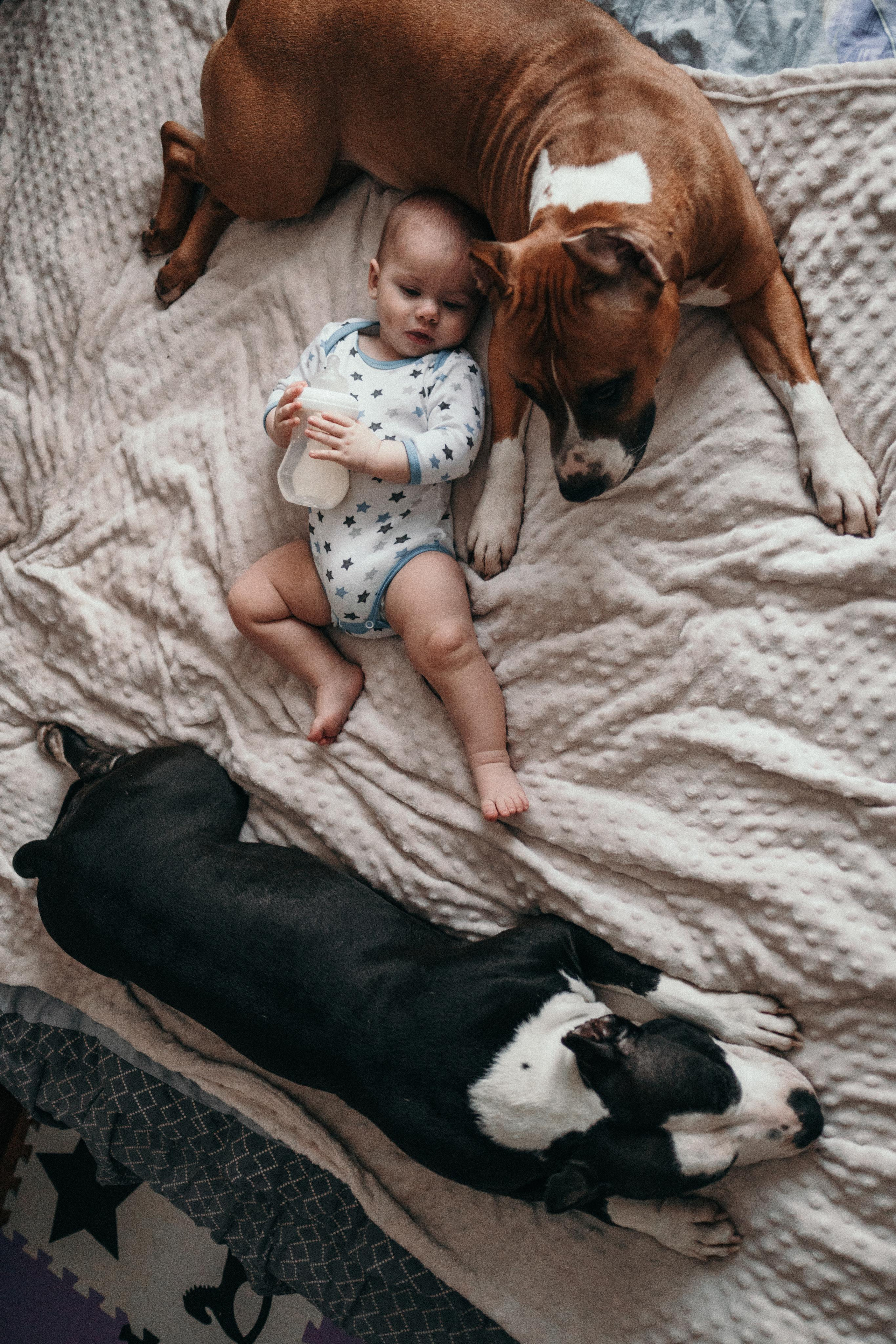 Домашняя фотосессия с собаками. Семейный и детский фотограф в Санкт-Петербурге Наталья Григорьева