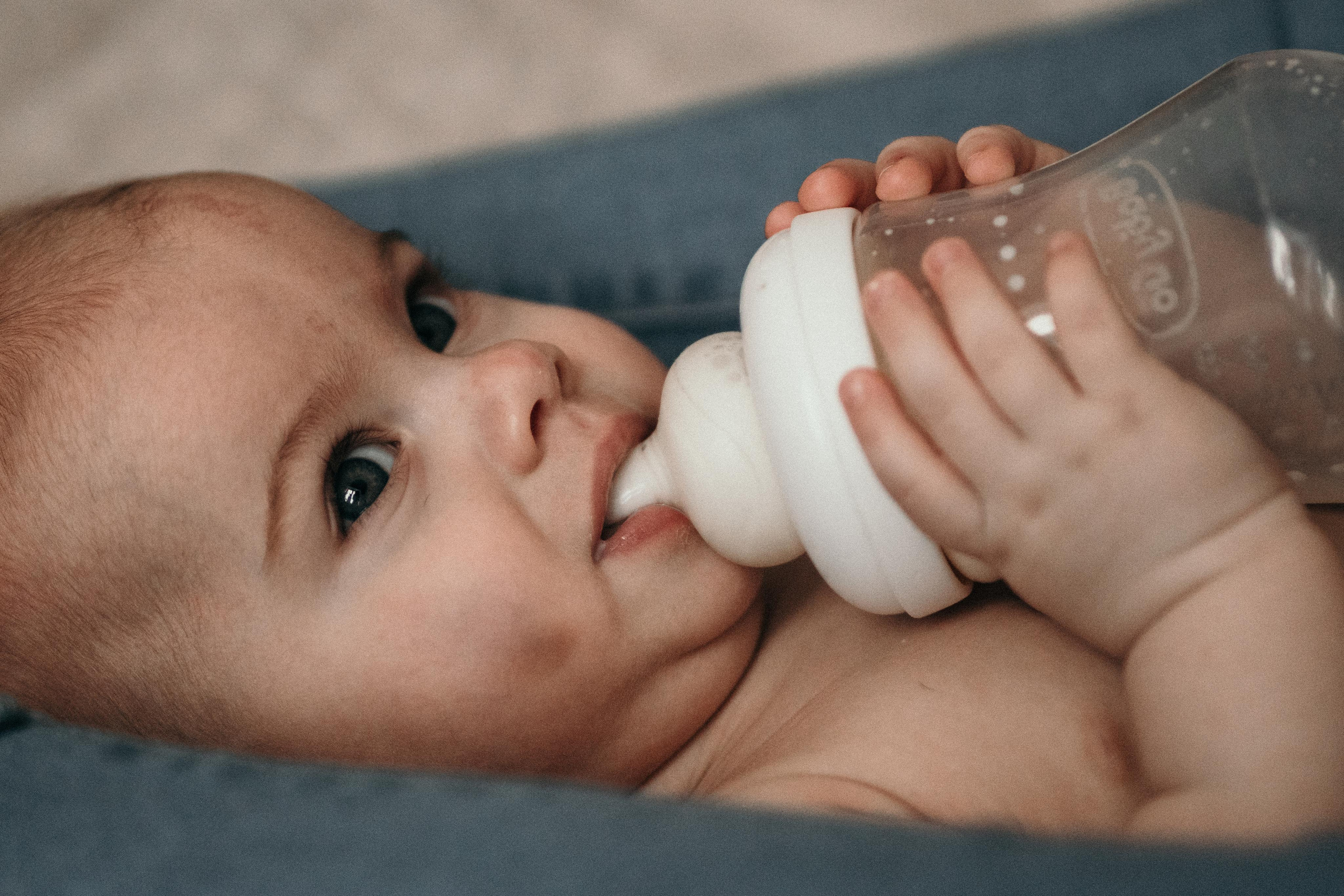 Домашняя фотосессия с собаками. Семейный и детский фотограф в Санкт-Петербурге Наталья Григорьева