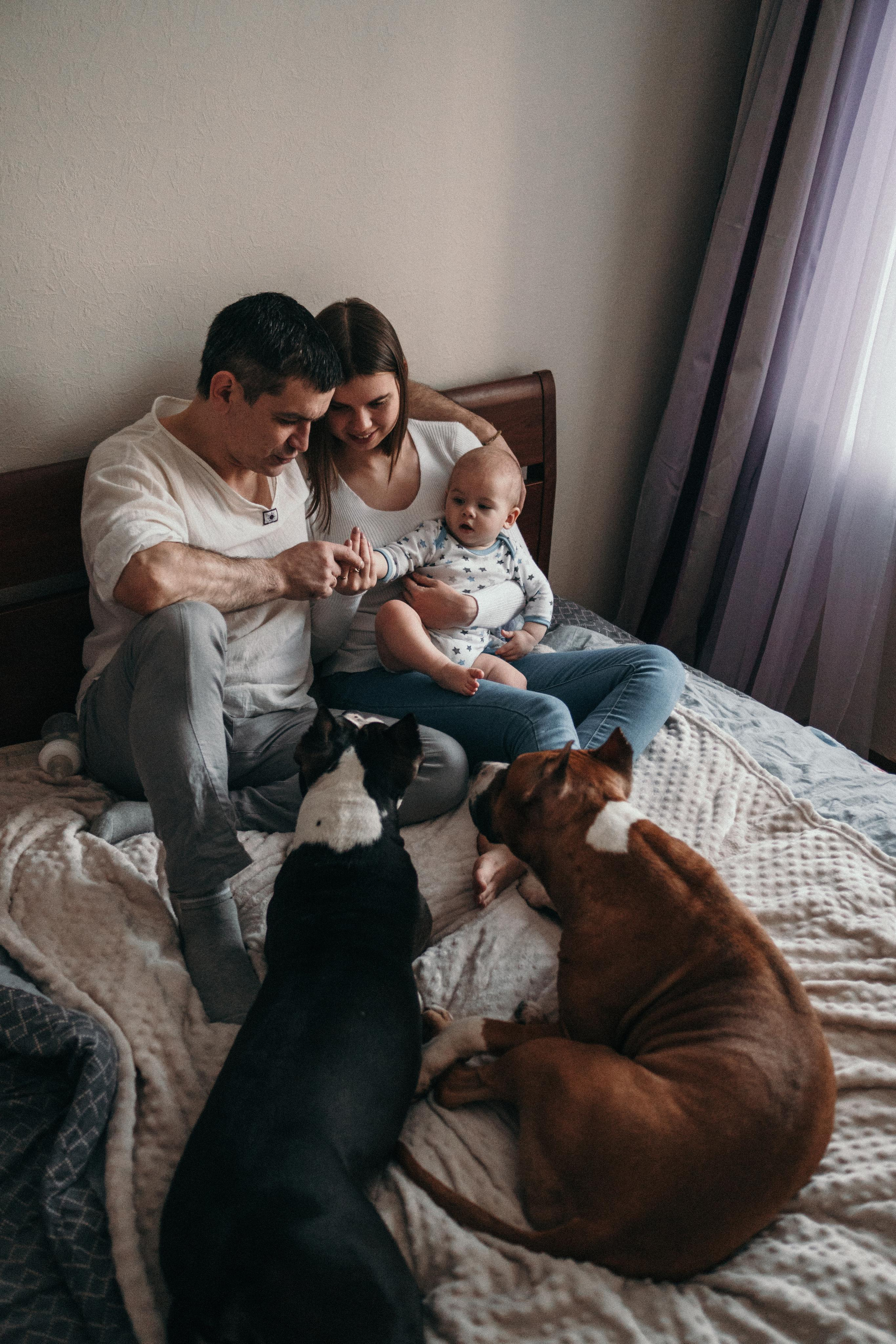 Домашняя фотосессия с собаками. Семейный и детский фотограф в Санкт-Петербурге Наталья Григорьева