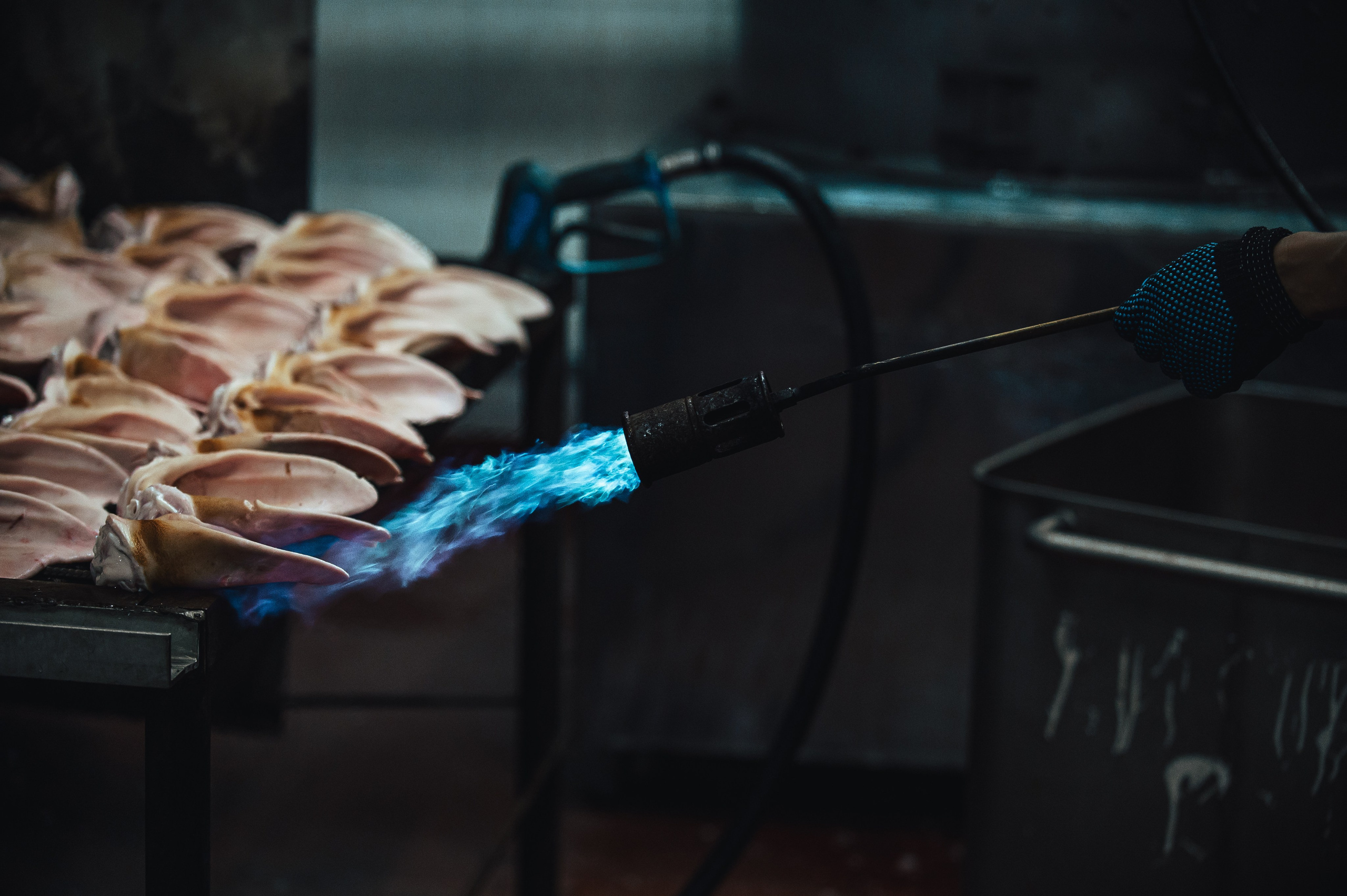 Свинокомплекс «СИБАГРО». Свадебная и концептуальная фотография в городе Улан-Удэ