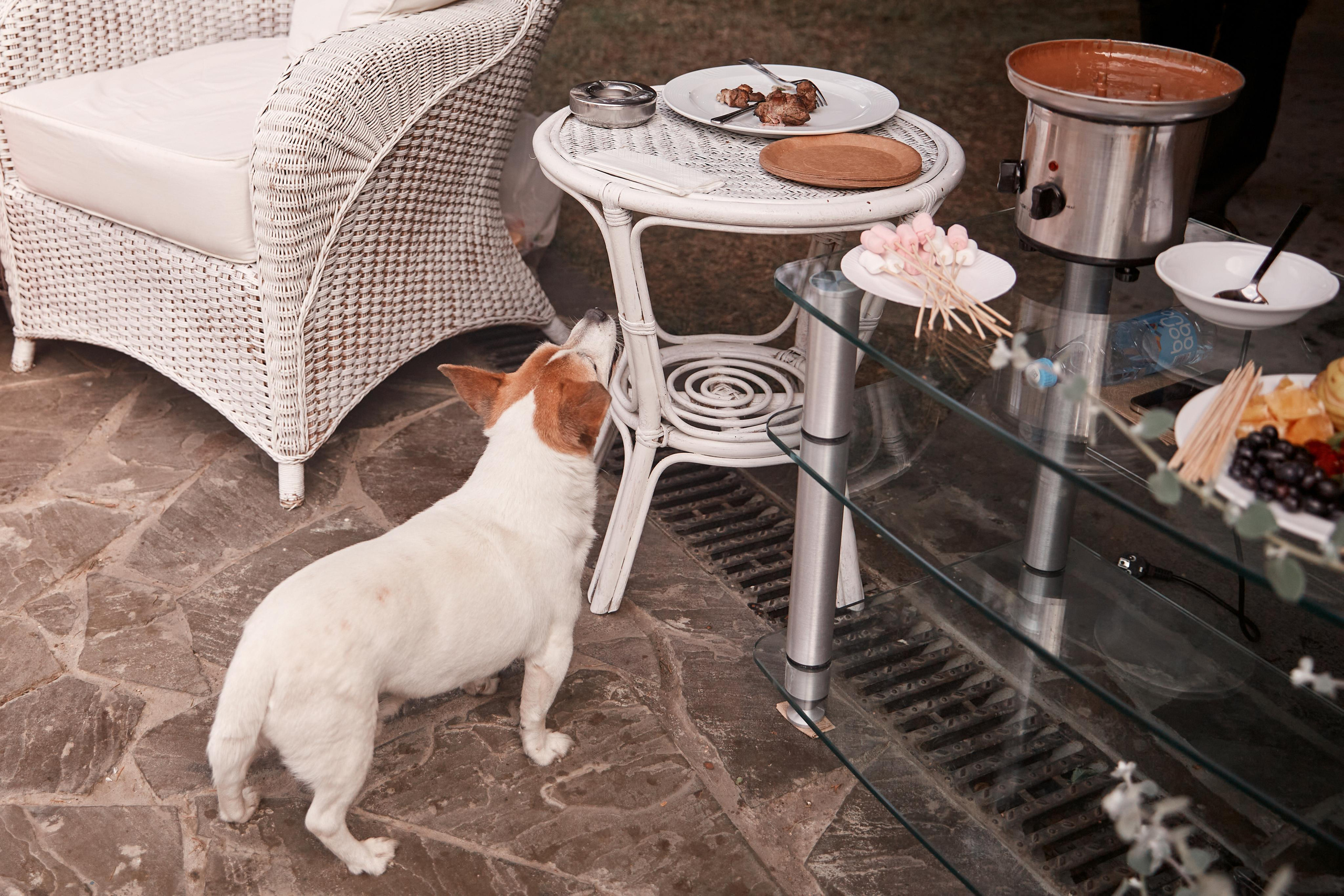 День Рождения Алисии. Фотограф ваших самых ярких событий в Москве и СПБ. Збронская Юлия