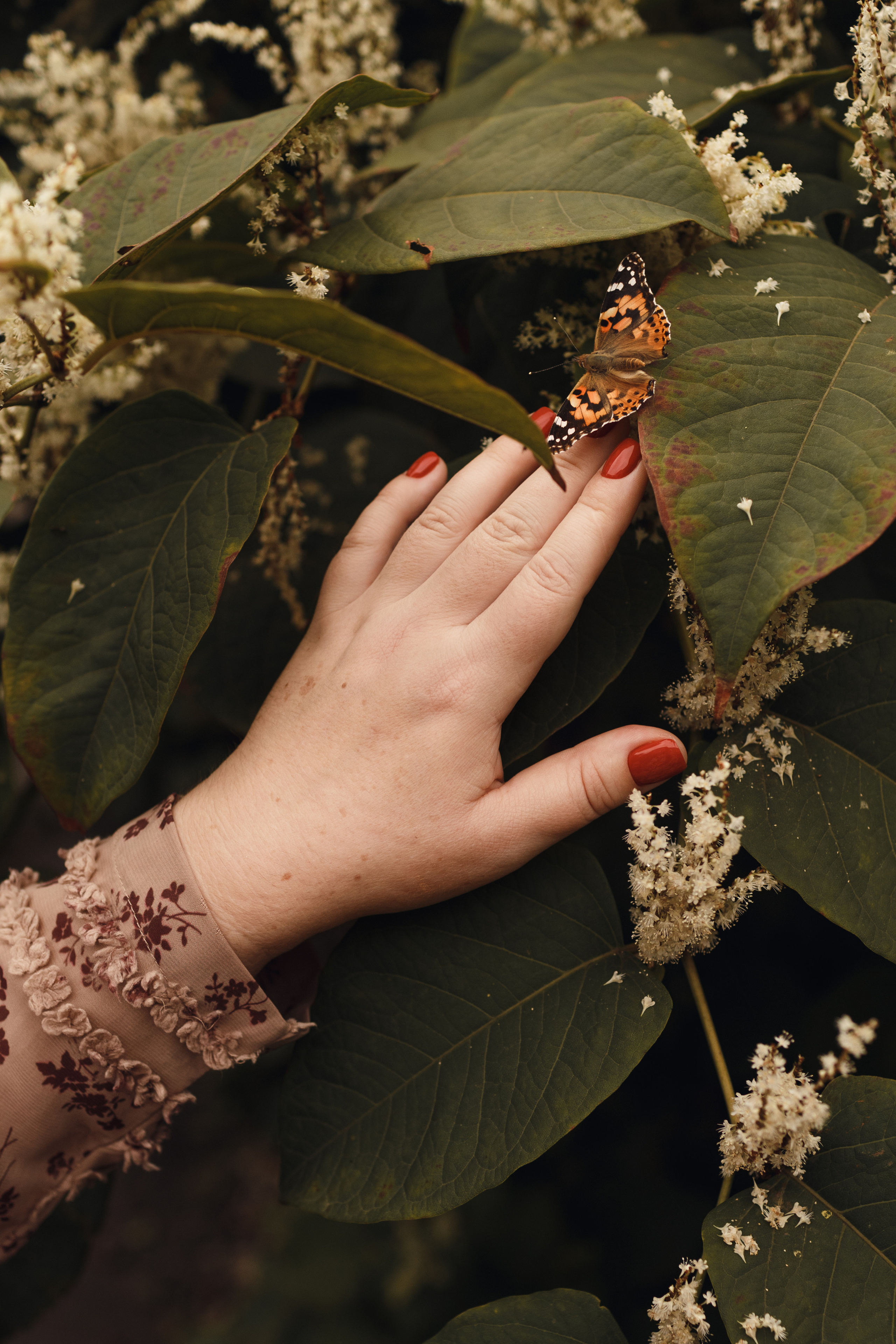 Мария. Портретный и свадебный фотограф в Белгороде Глухова Кристина