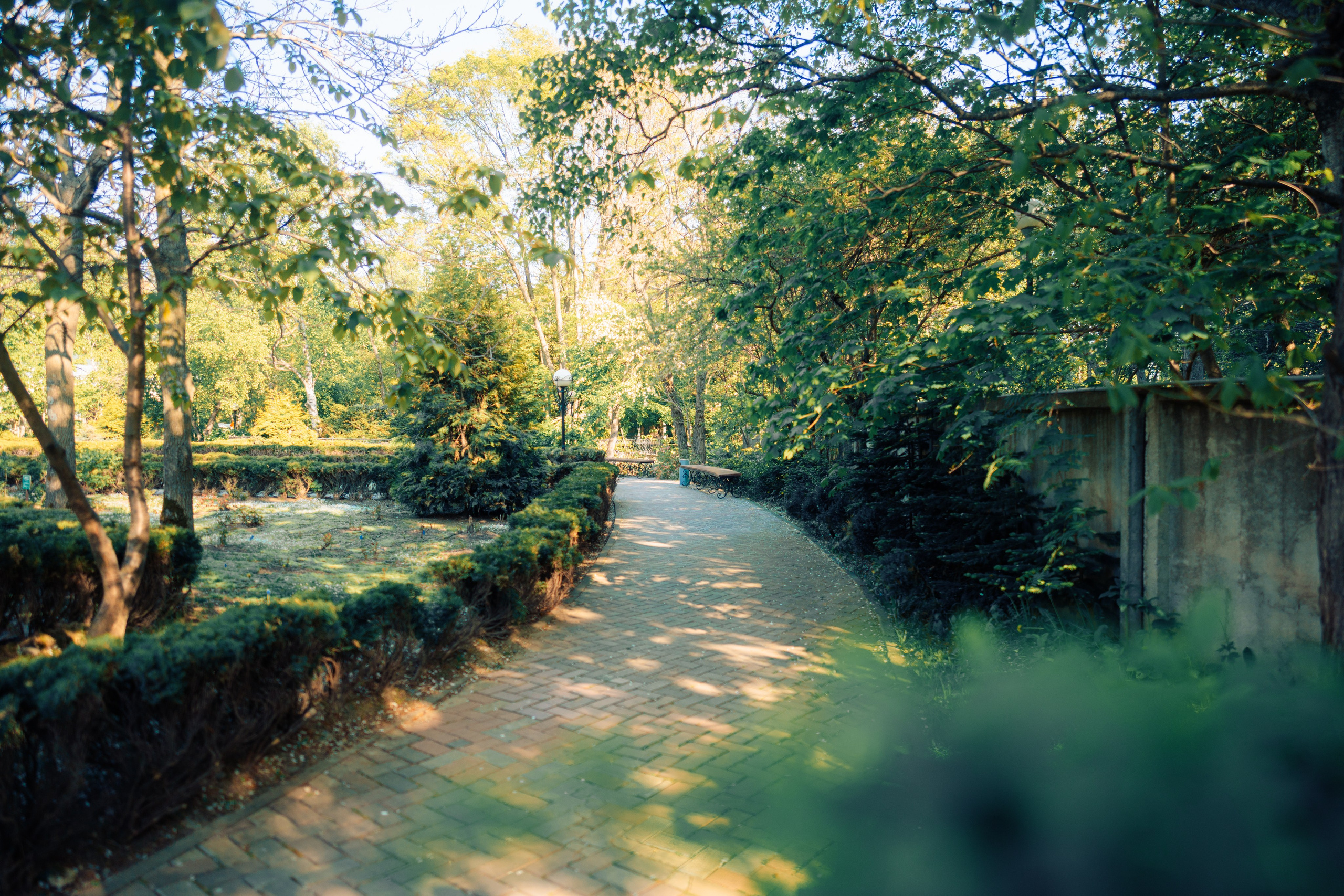 地方历史博物馆. Ivan Zaitsev (IZIART) — 通过照片和视频创建文化代码