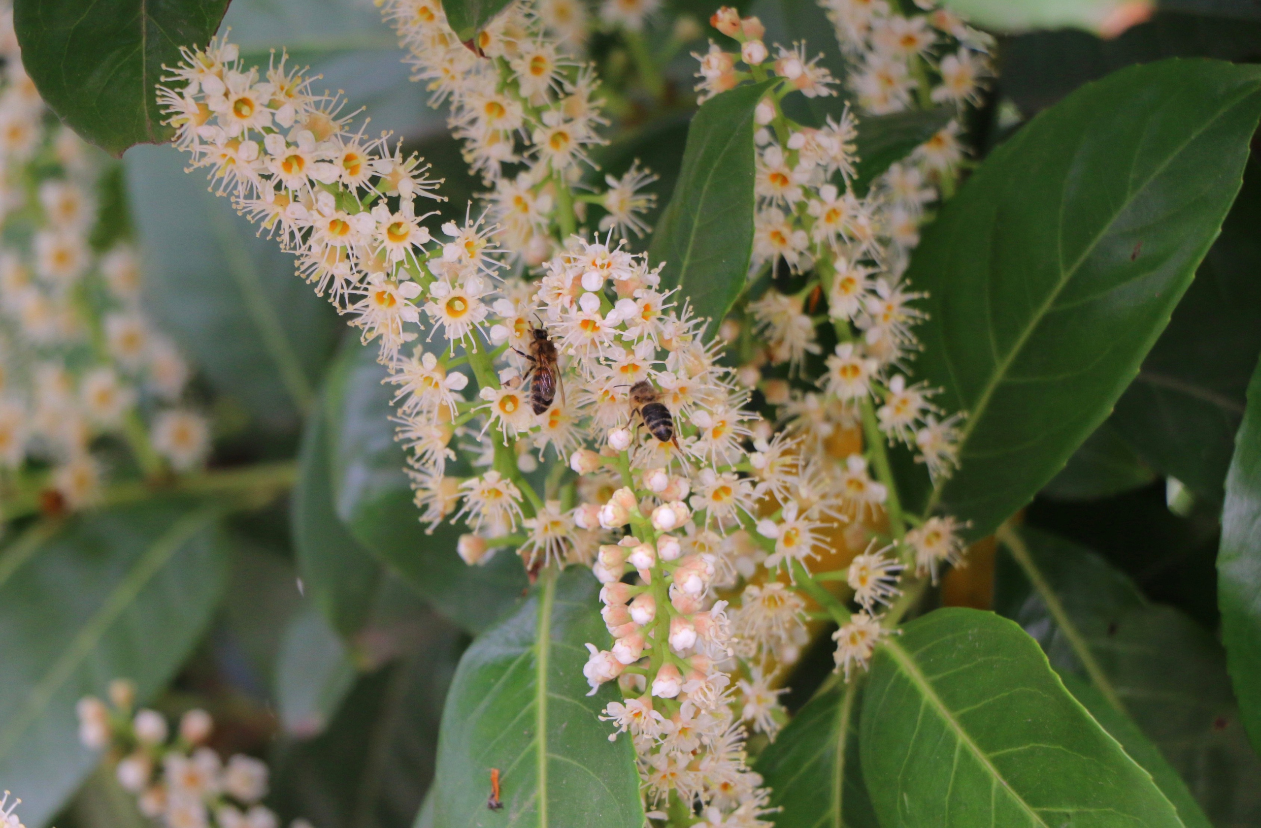 Природа. Семейный и детский фотограф в Ялте Ольга Солерина