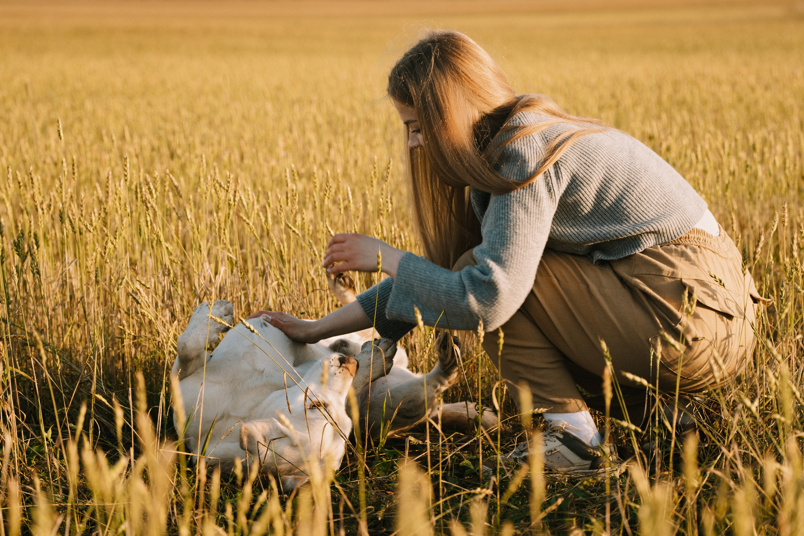 Дана и Арчи. Фотограф-анималист Анастасия Большакова