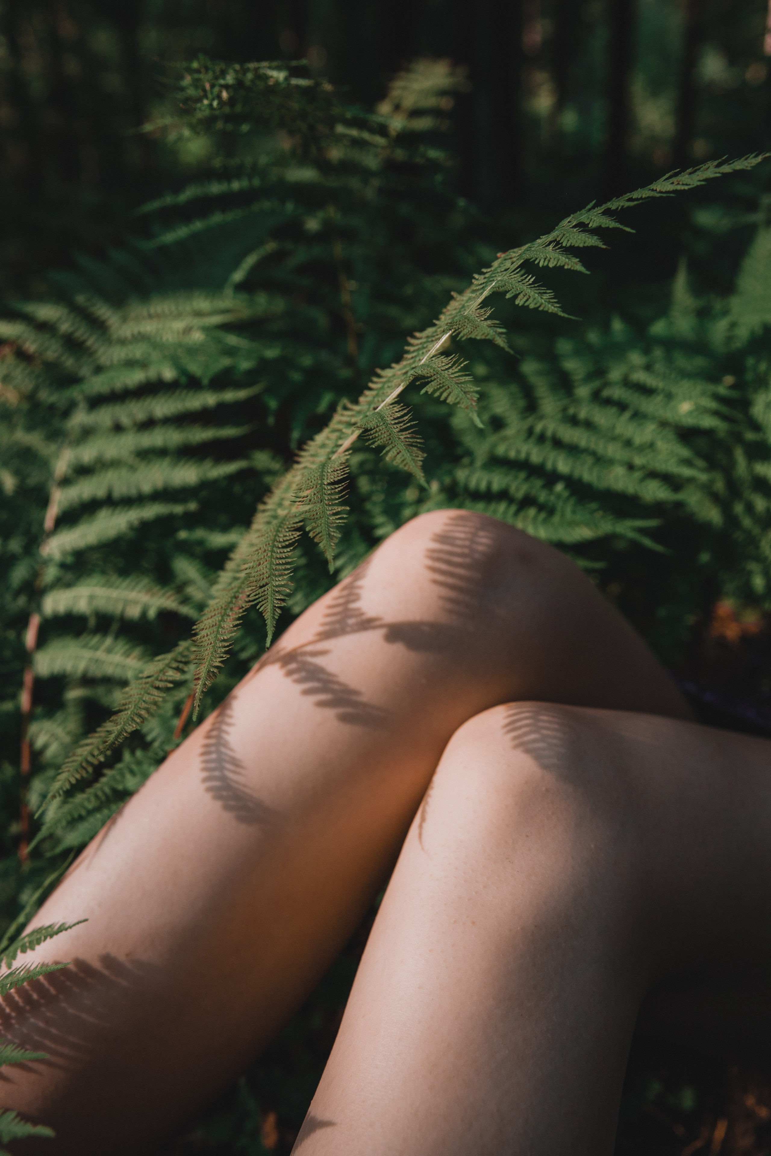 Ораниенбаум. Фотограф и ретушёр Мария Гущина