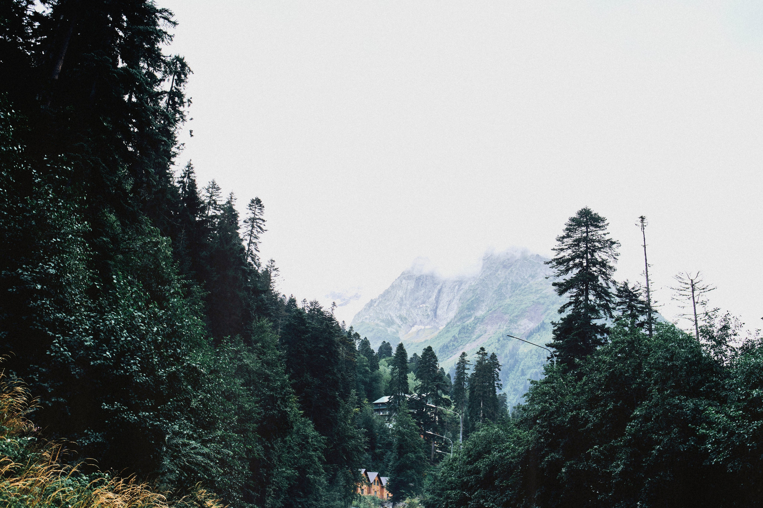 Kavkaz. SHILOVA PHOTO. Шилова Екатерина. Фотограф. Москва