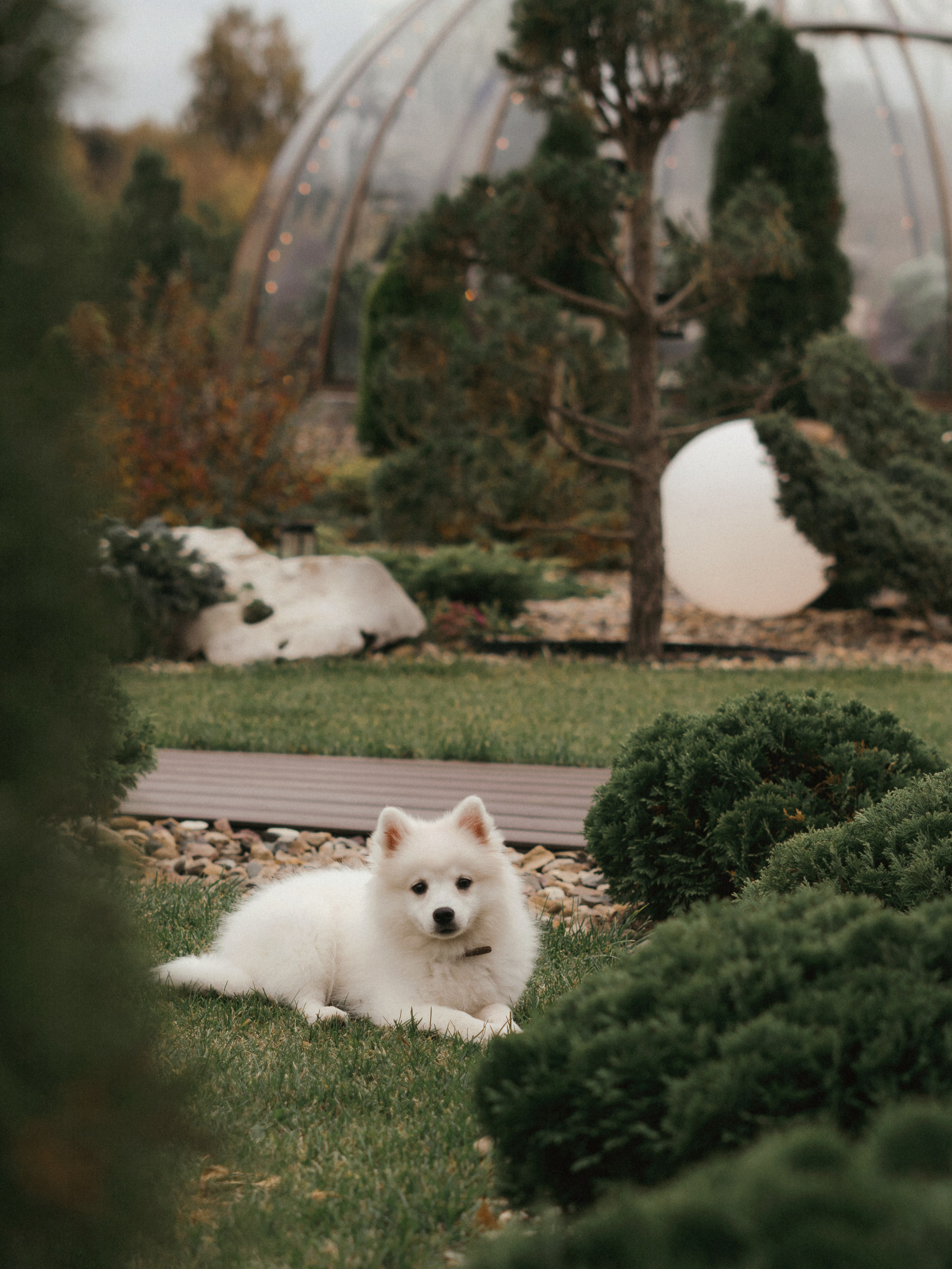 Вера и семья. SHILOVA PHOTO. Шилова Екатерина. Фотограф. Москва