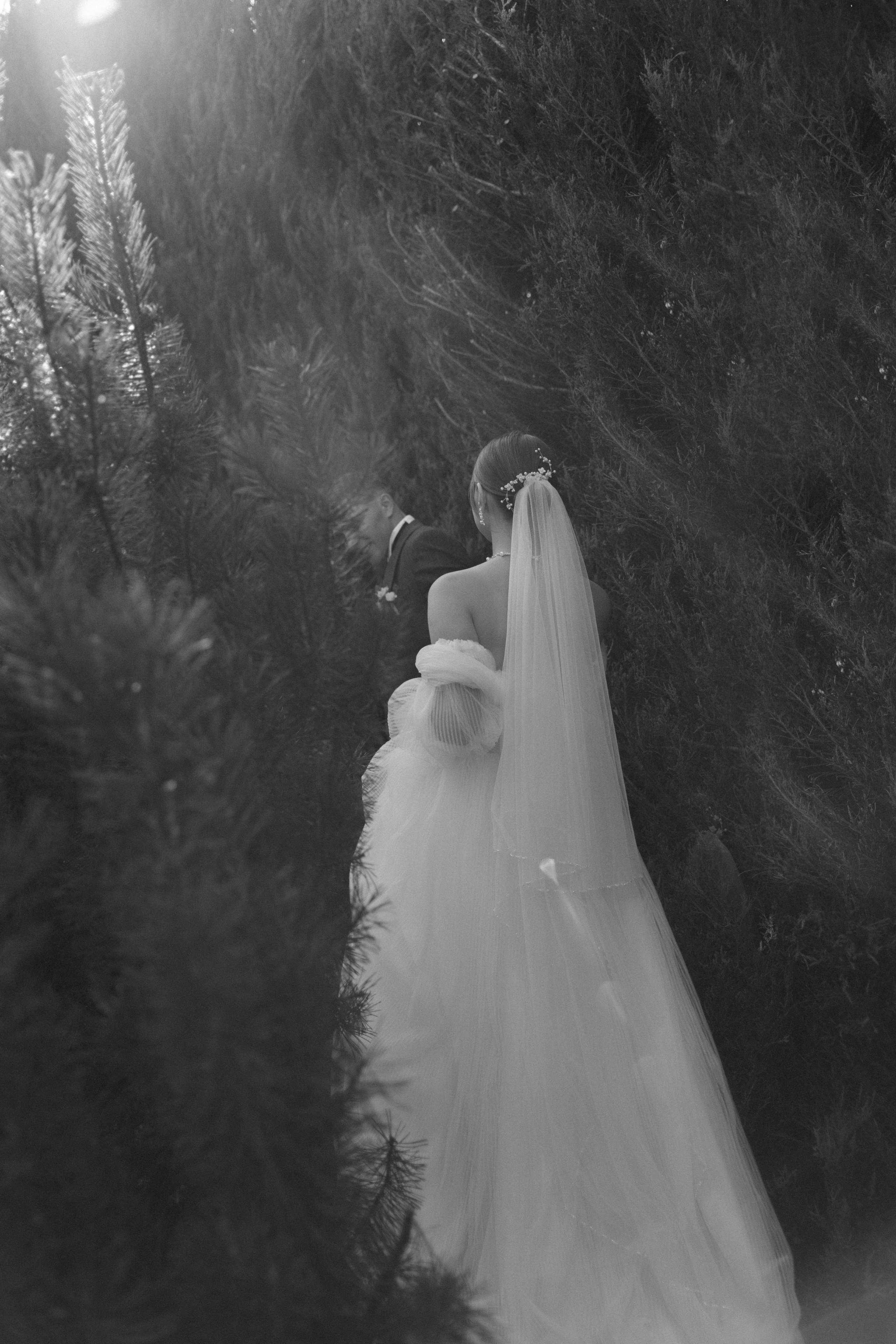 Алина и Никита. Свадебный фотограф Мироманов Николай в Крыму