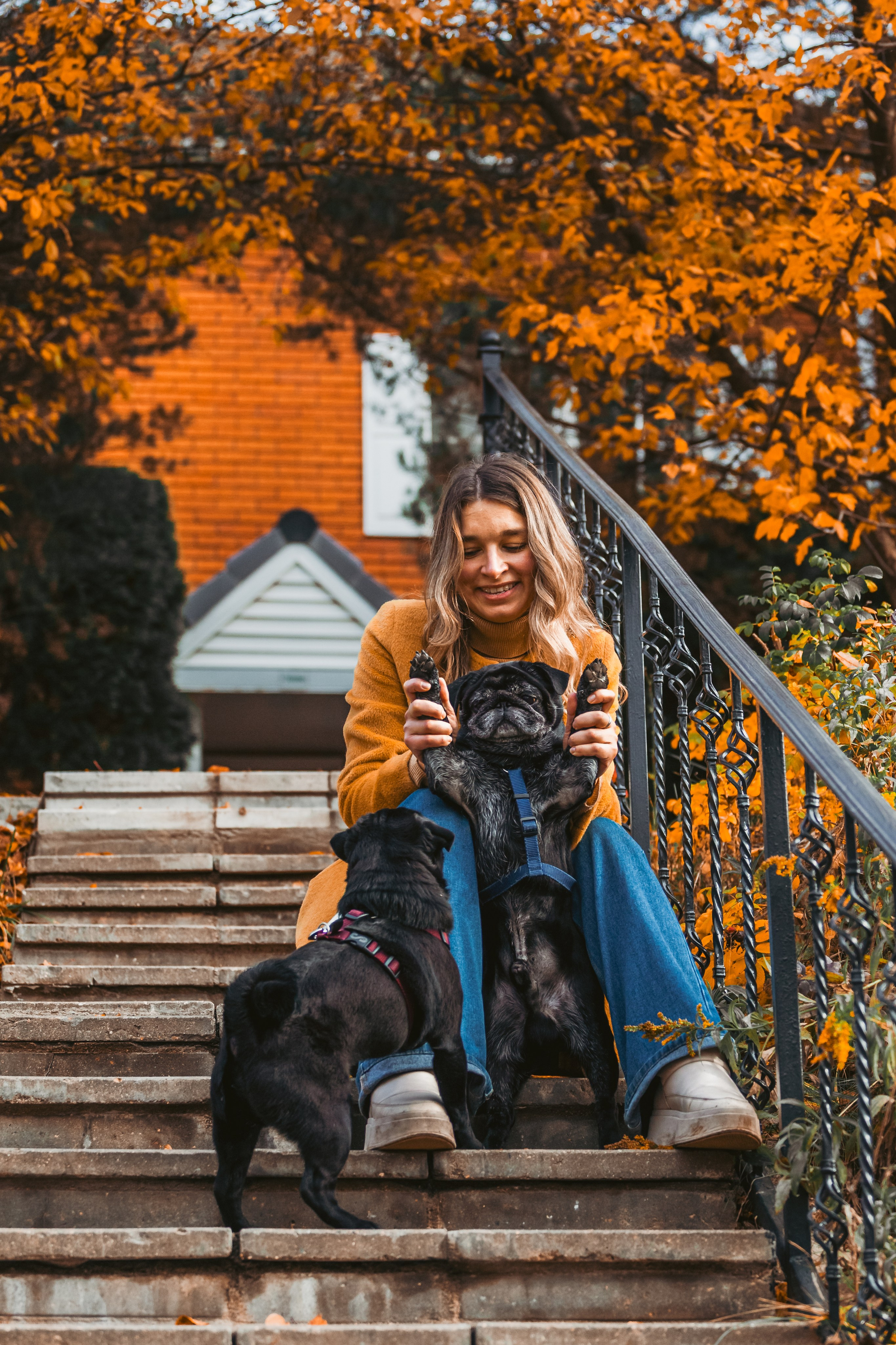 Оля, Харви, Луис. Фотограф-анималист Татьяна Степанова
