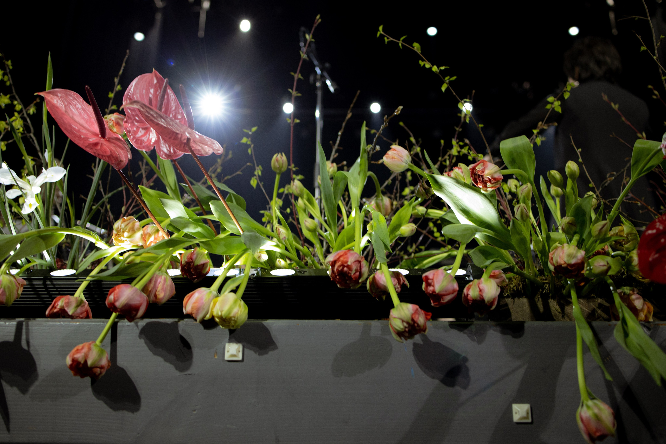 Оформление Отчетного концерта Музыкальной школы Глазунова. Оформление свадеб, декор свадеб Вера Маркова, Москва