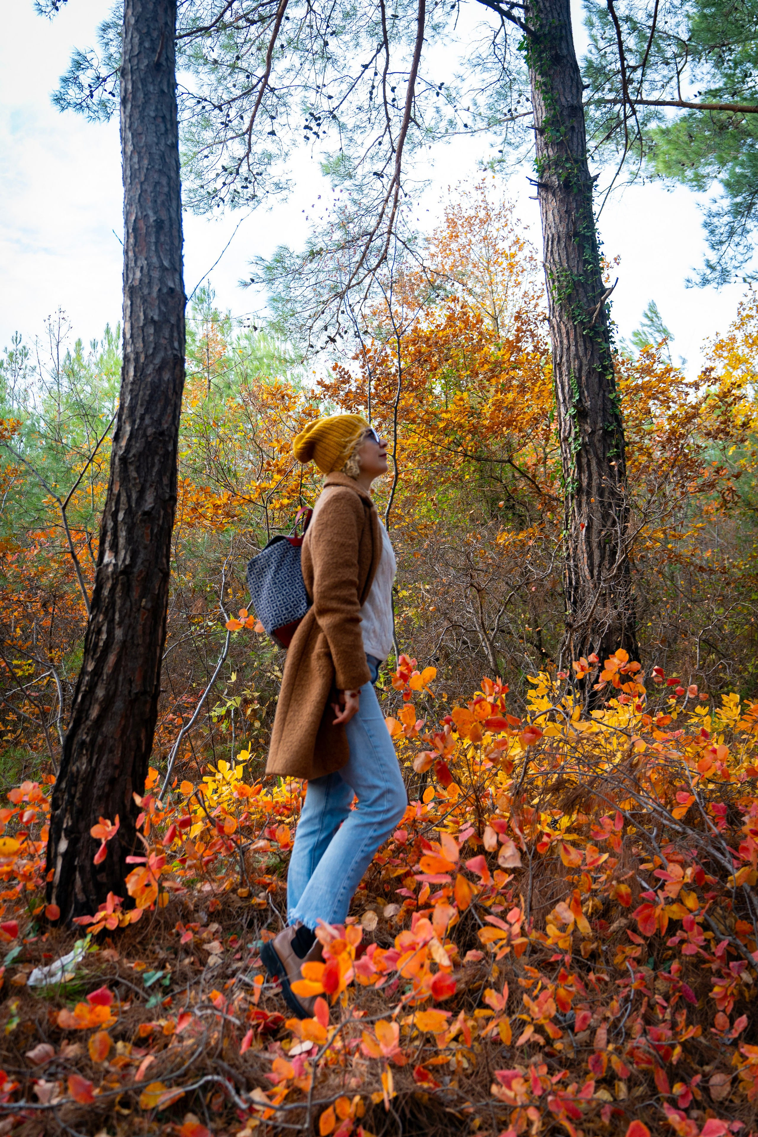 Фотопрогулка в Голубой бездне — золотая осень. Семейный и детский фотограф Екатерина Черняева. Снимаю портреты, love story, фотопрогулки, работаю на улице, в кафе, студии, дома у клиента