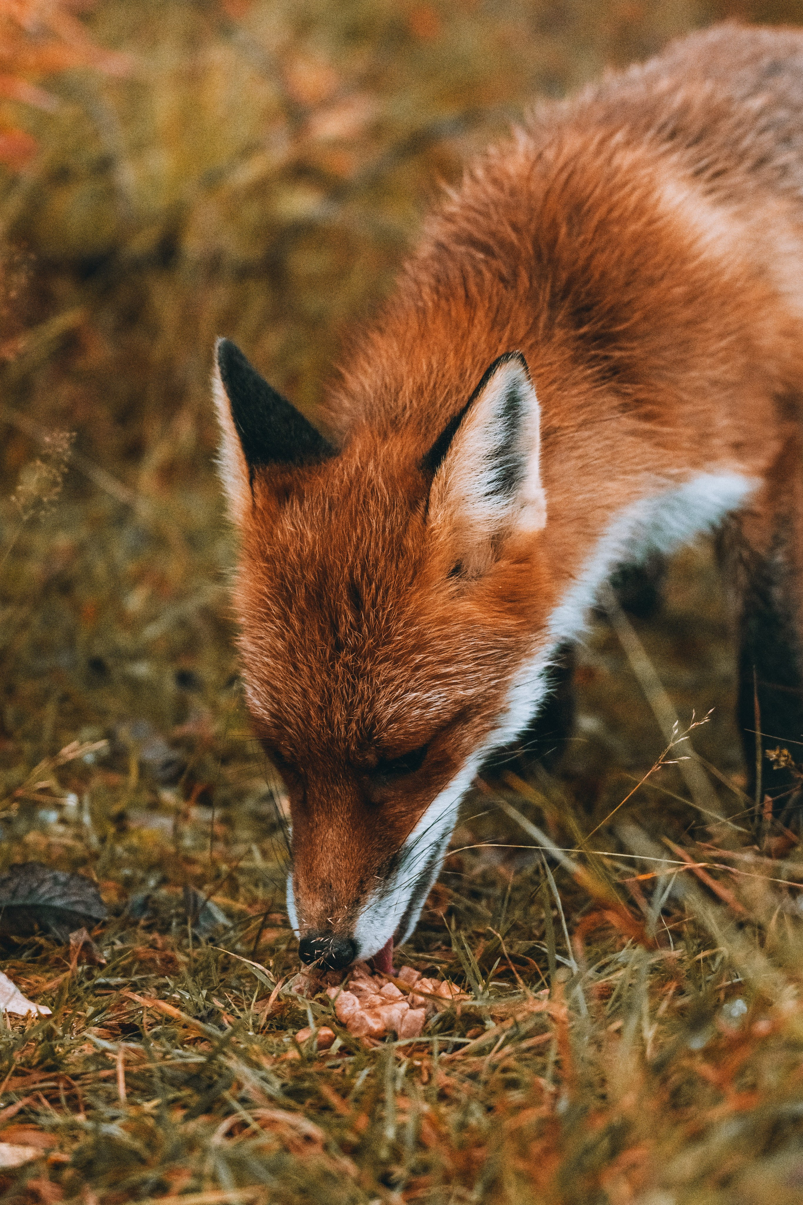СЕВЕР. Event фотограф Степанова Александра