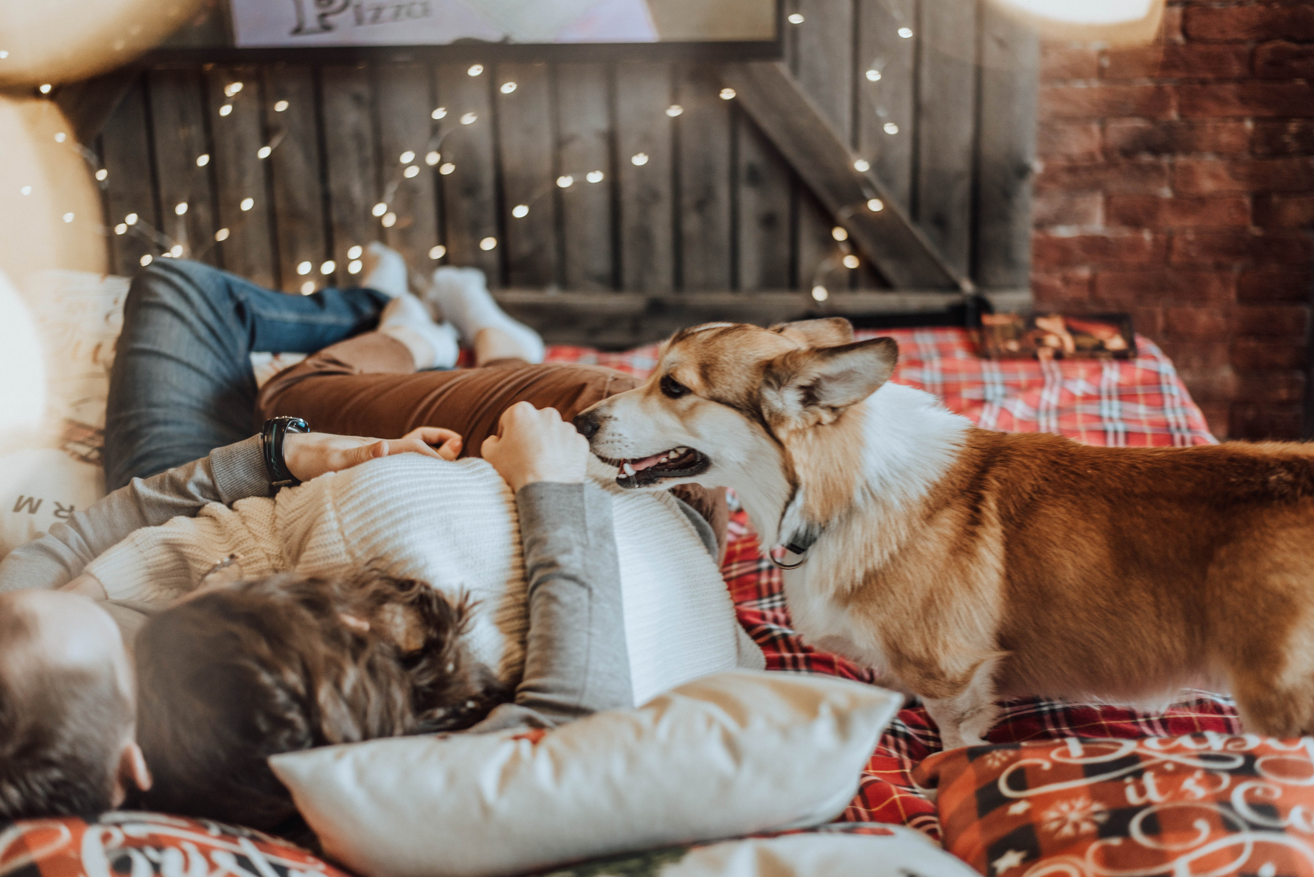 Саша и Таня. Свадебный и семейный фотограф в Чите Юлия Оранская
