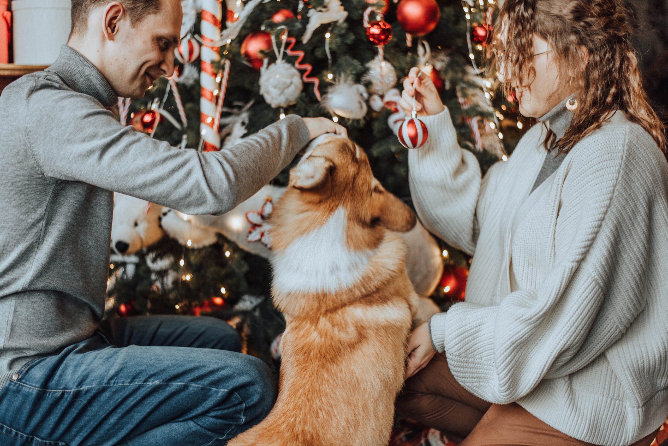 Саша и Таня. Свадебный и семейный фотограф в Чите Юлия Оранская