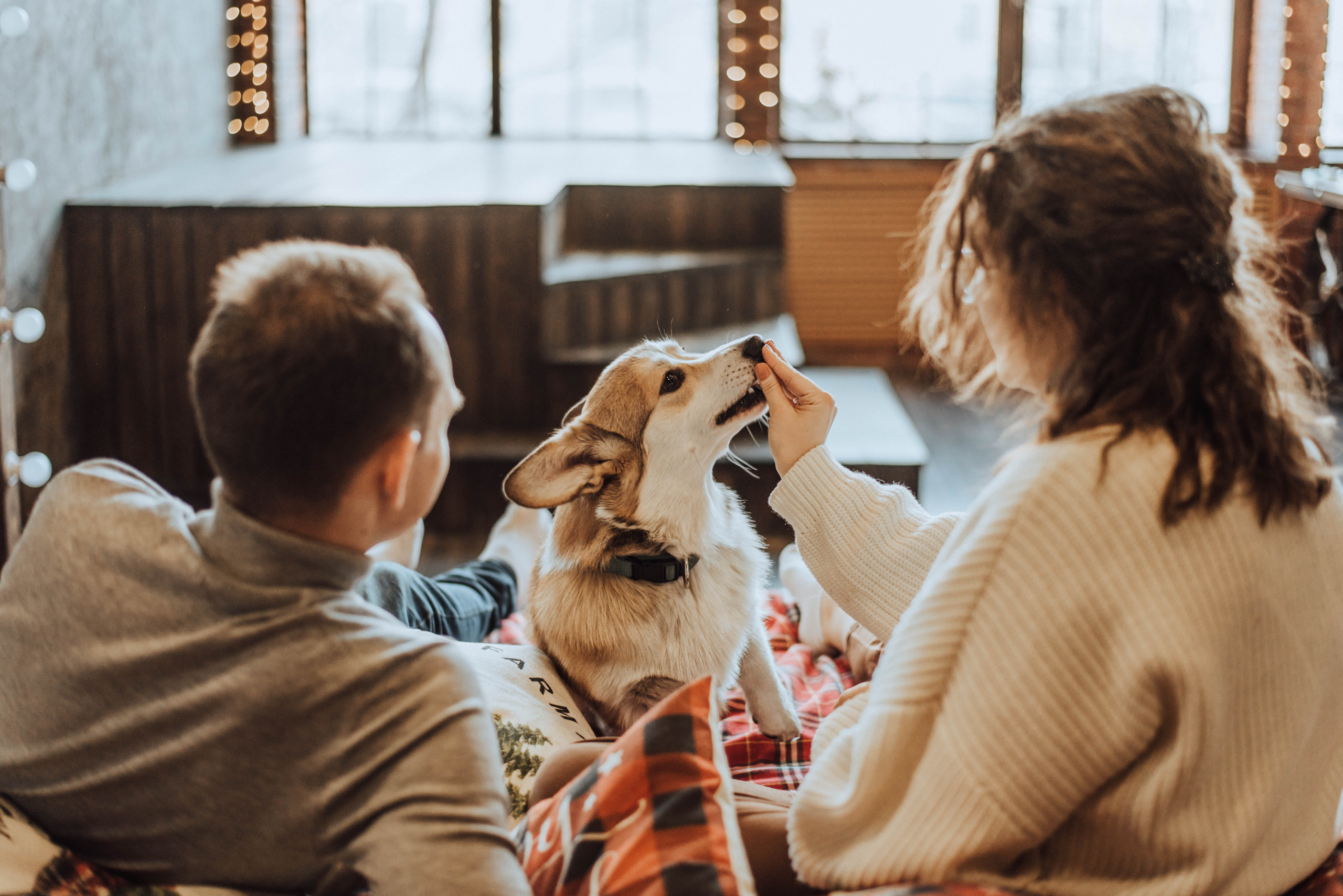 Саша и Таня. Свадебный и семейный фотограф в Чите Юлия Оранская