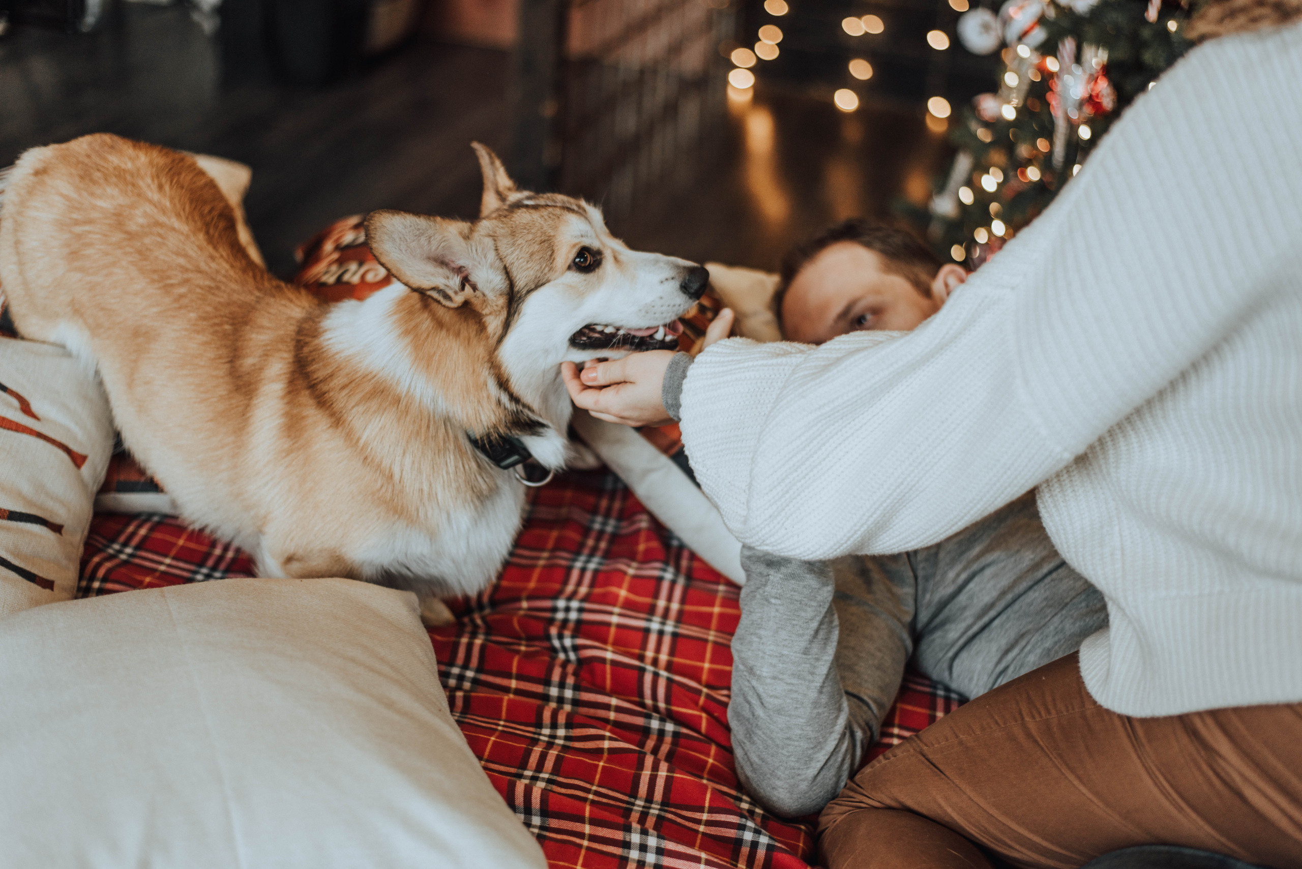 Саша и Таня. Свадебный и семейный фотограф в Чите Юлия Оранская